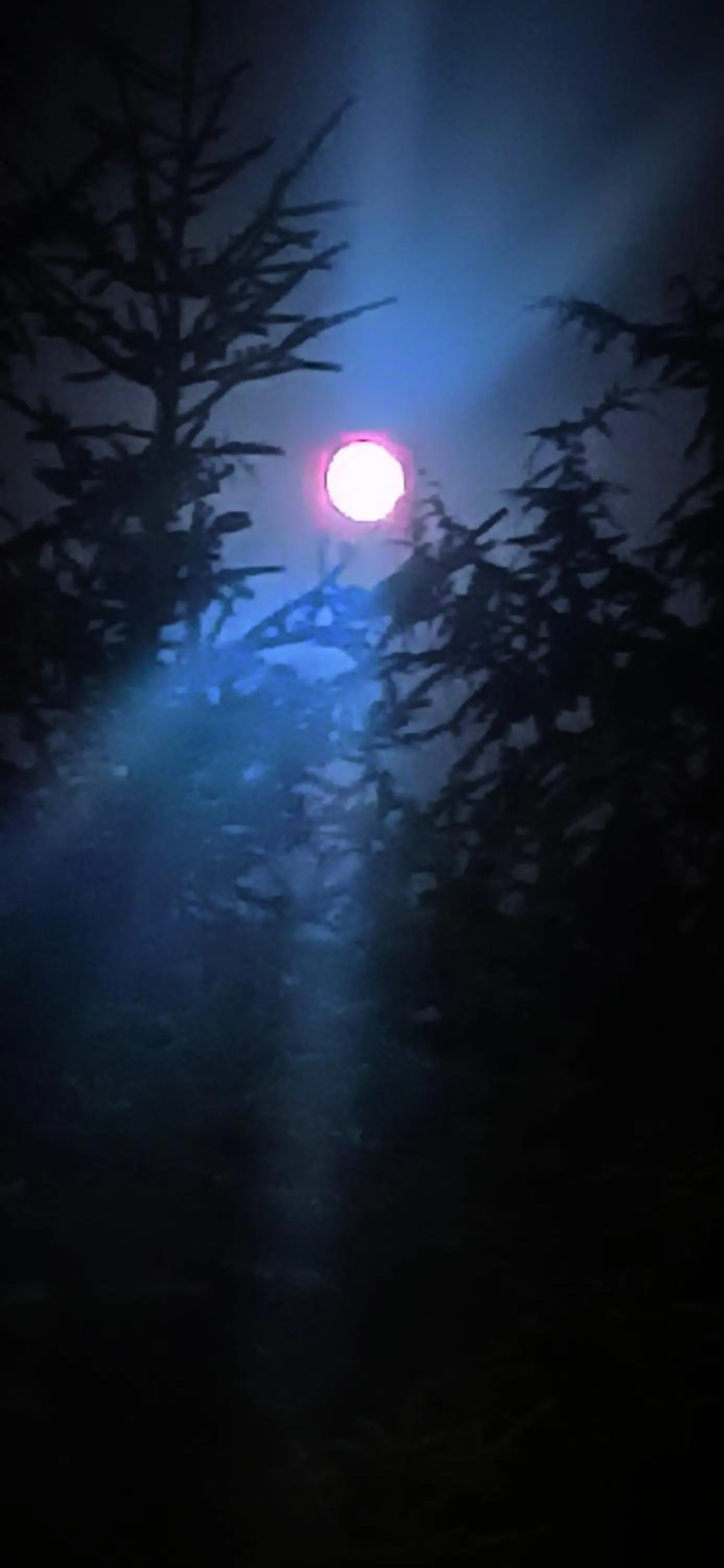 B&b il campanile di leone Pina