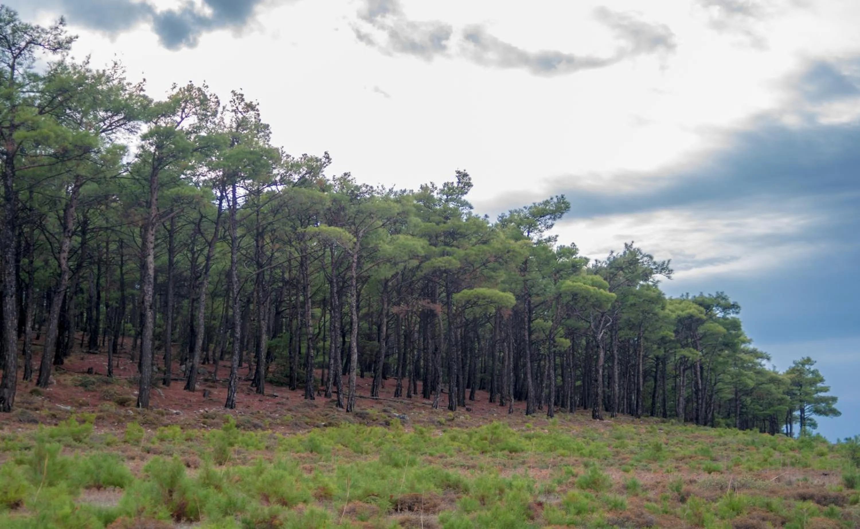Natural landscape in Limeri Traditional Guest House