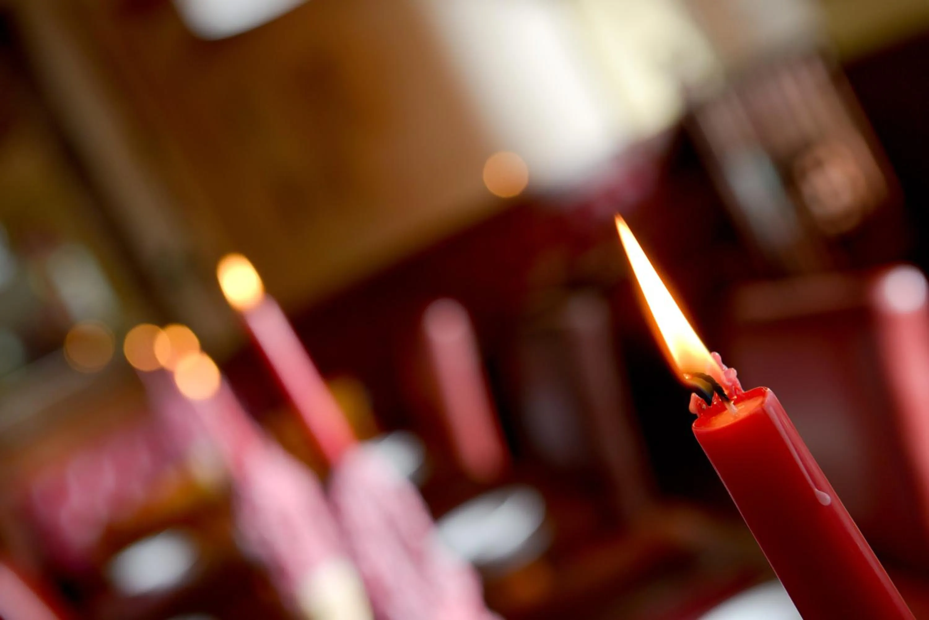 Restaurant/places to eat in OYO Hotel Majestic