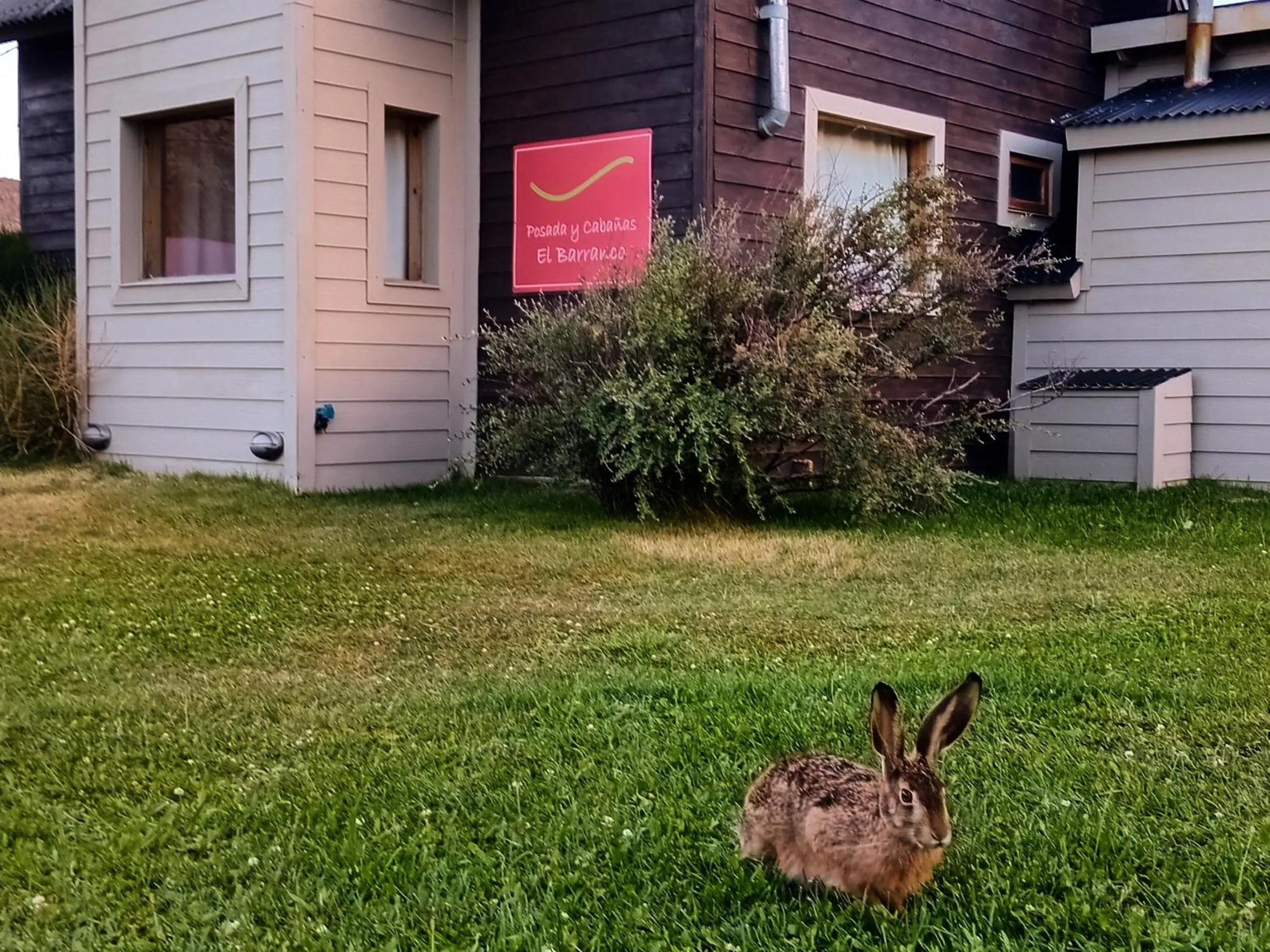 Garden in Posada y Cabañas El Barranco