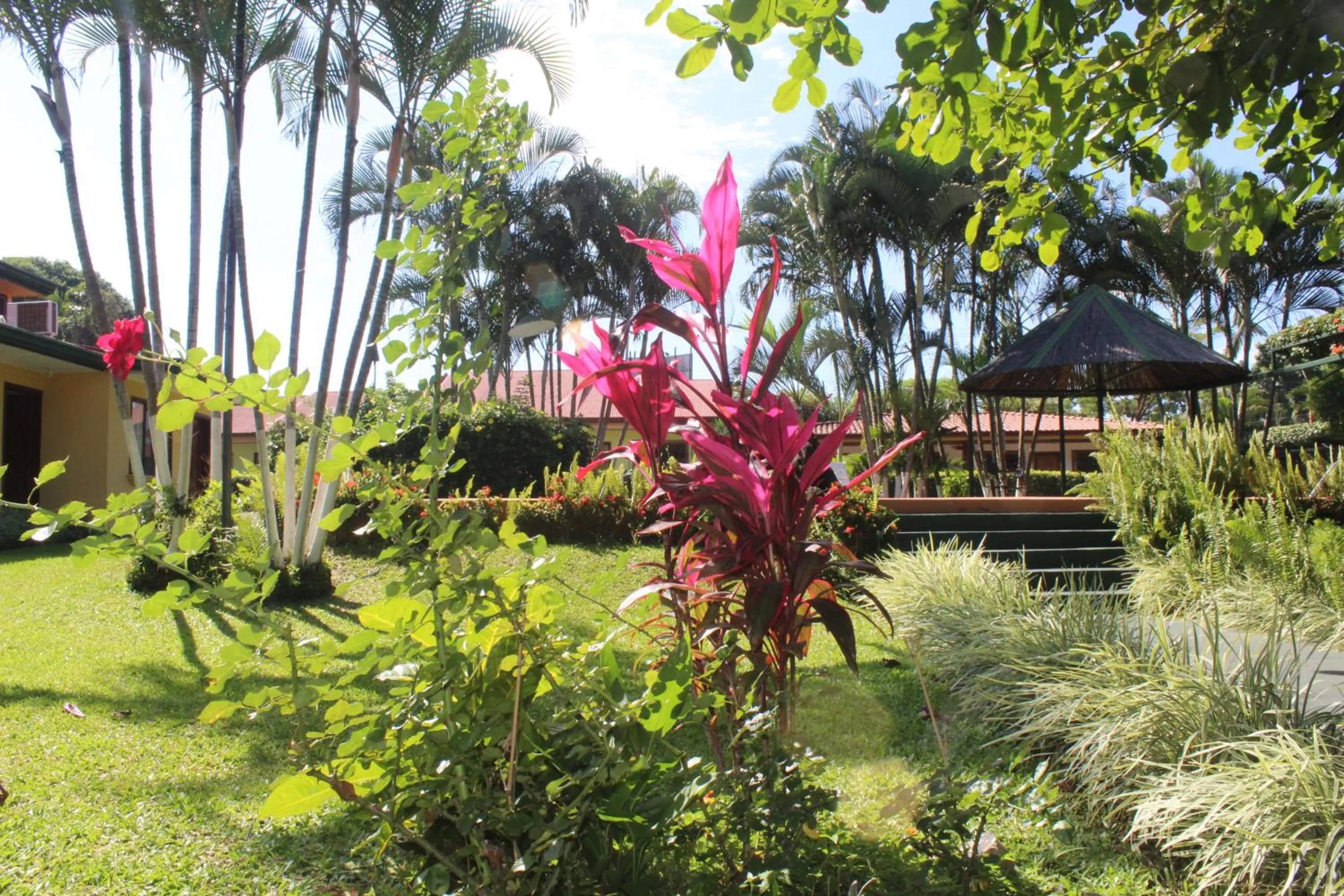 Garden in Hotel Bristol Aeropuerto
