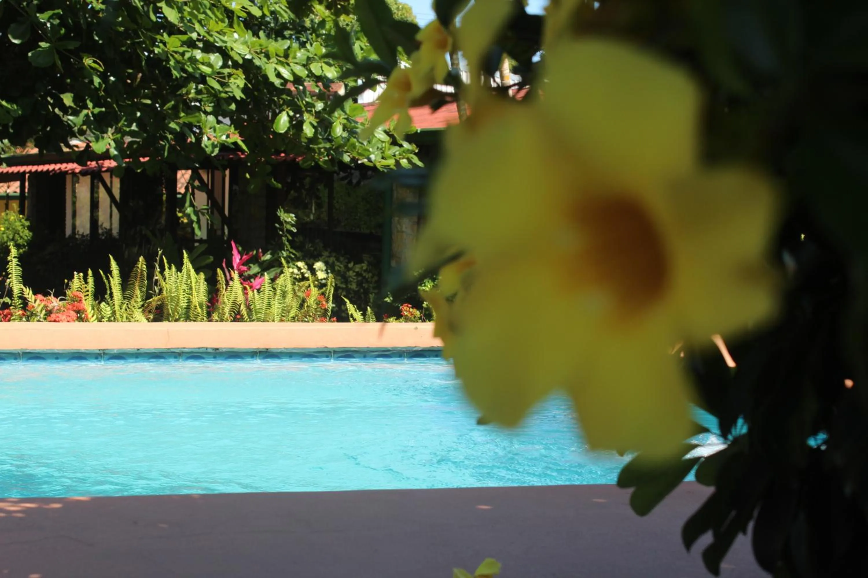 Swimming pool in Hotel Bristol Aeropuerto