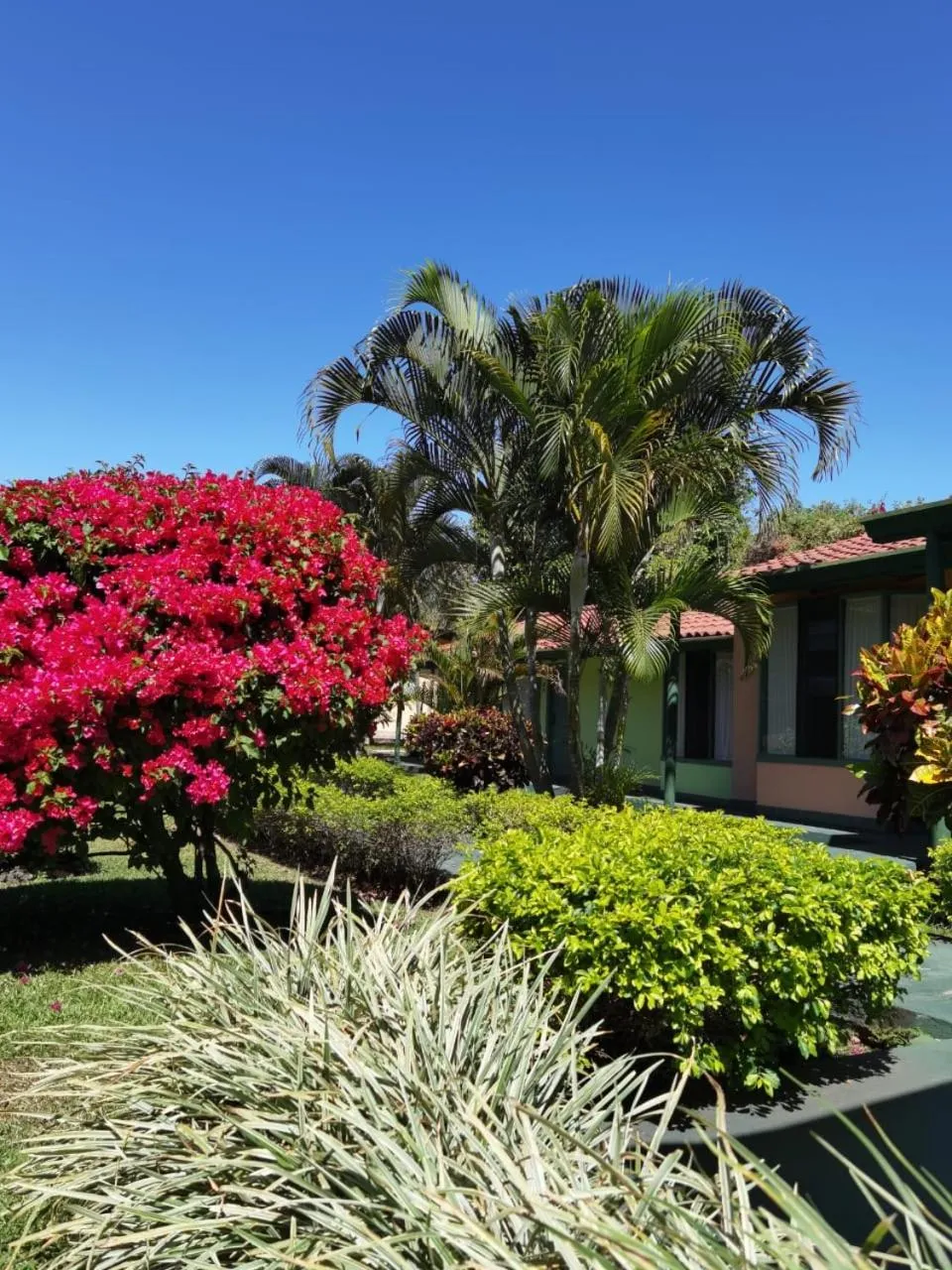 Garden in Hotel Bristol Aeropuerto