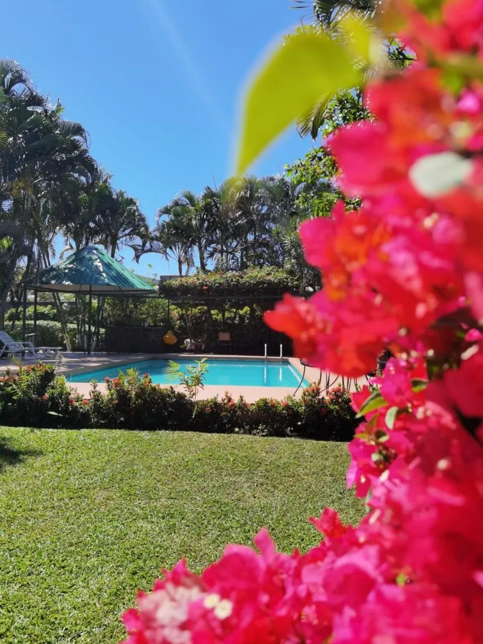 Garden in Hotel Bristol Aeropuerto