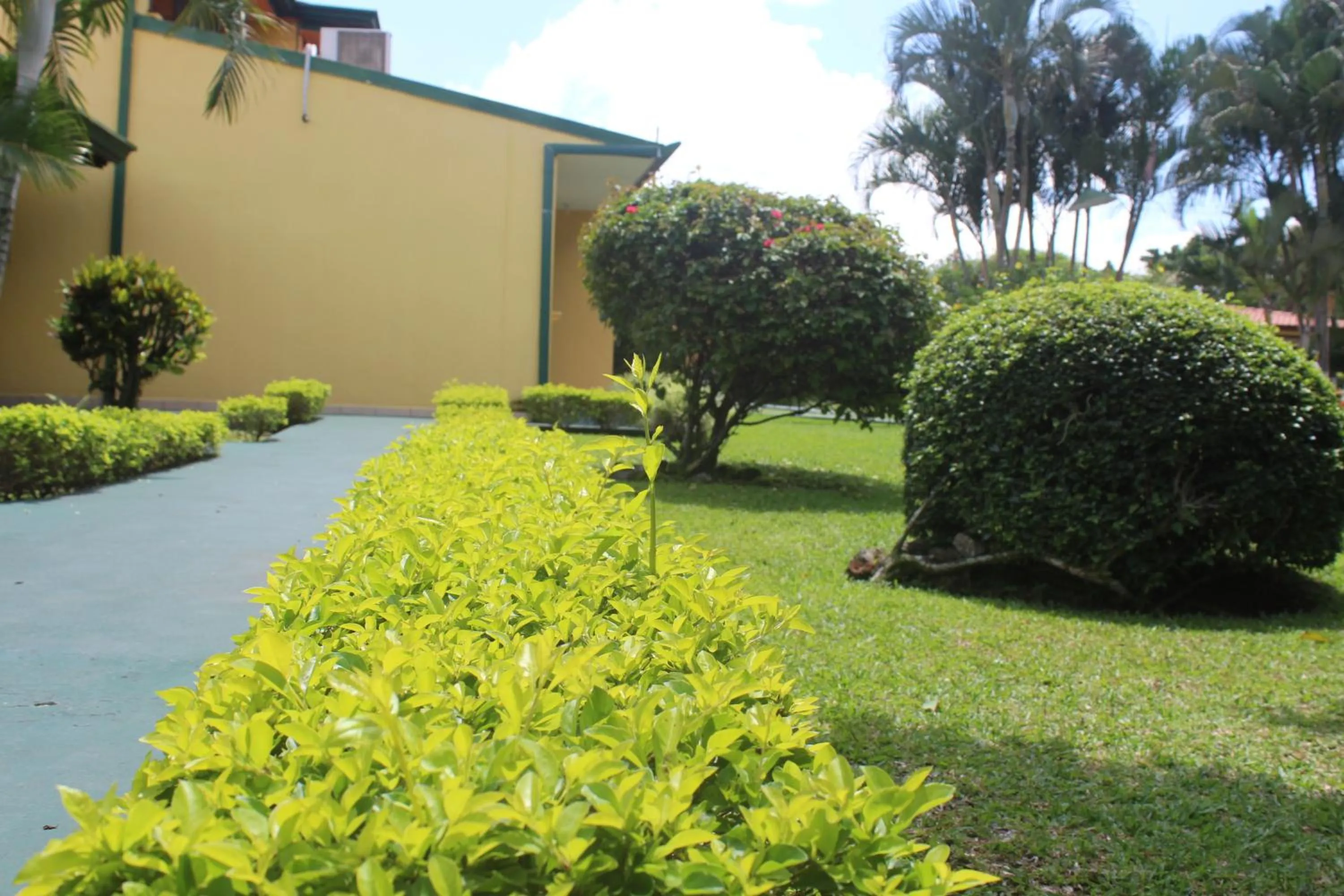Garden in Hotel Bristol Aeropuerto