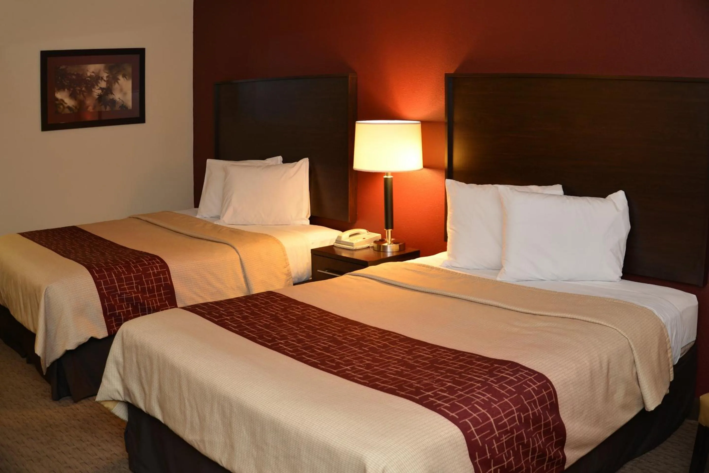 Photo of the whole room, Bed in Red Roof Inn Cookeville - Tennessee Tech