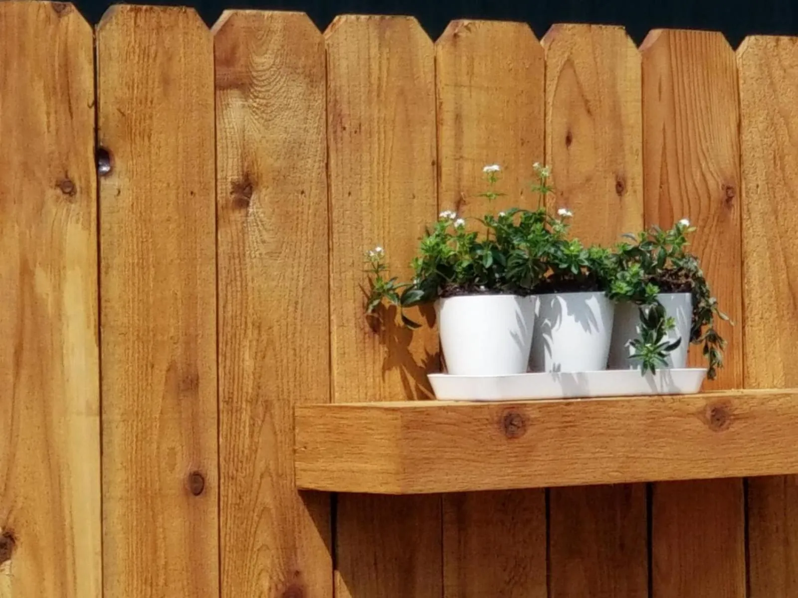 BBQ facilities in The Evergreen