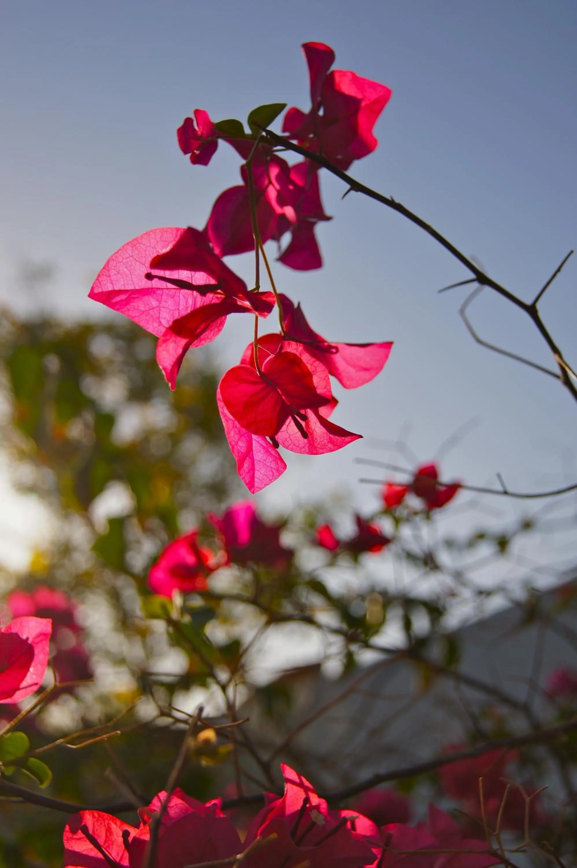 Area and facilities in Umbi Sharks Bay Diving Village
