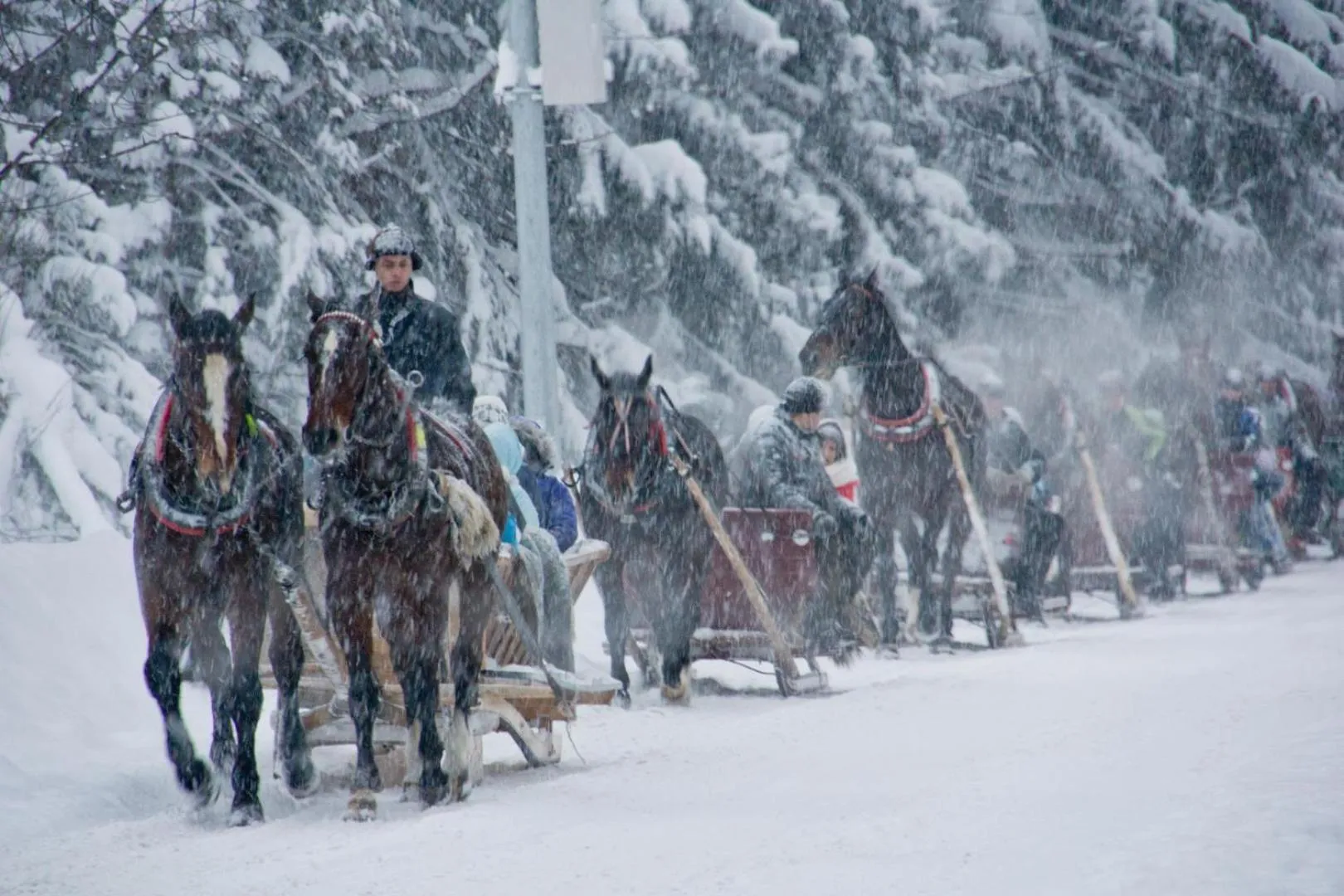 People in Willa Iskra