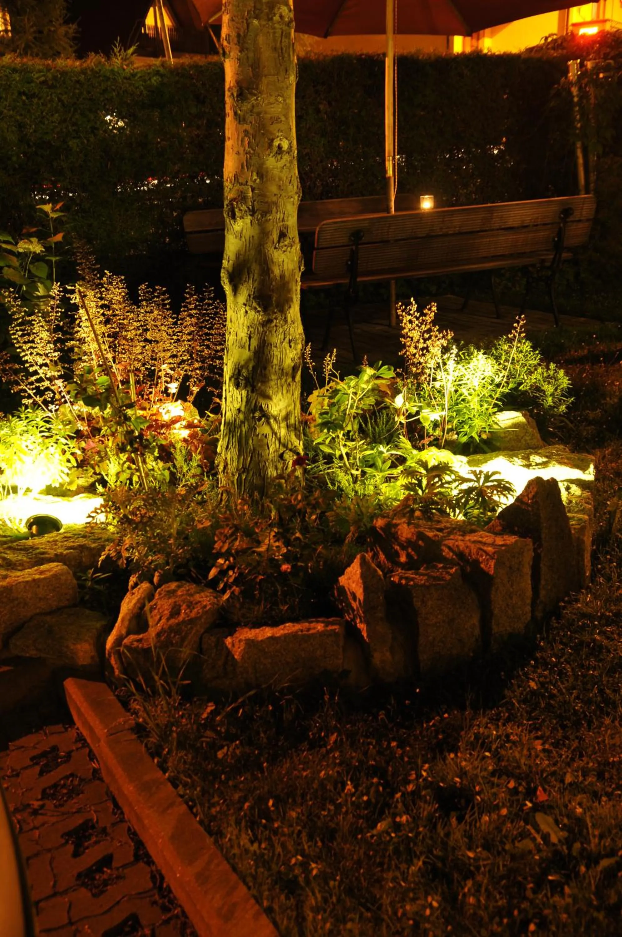 Natural landscape in Willa Iskra