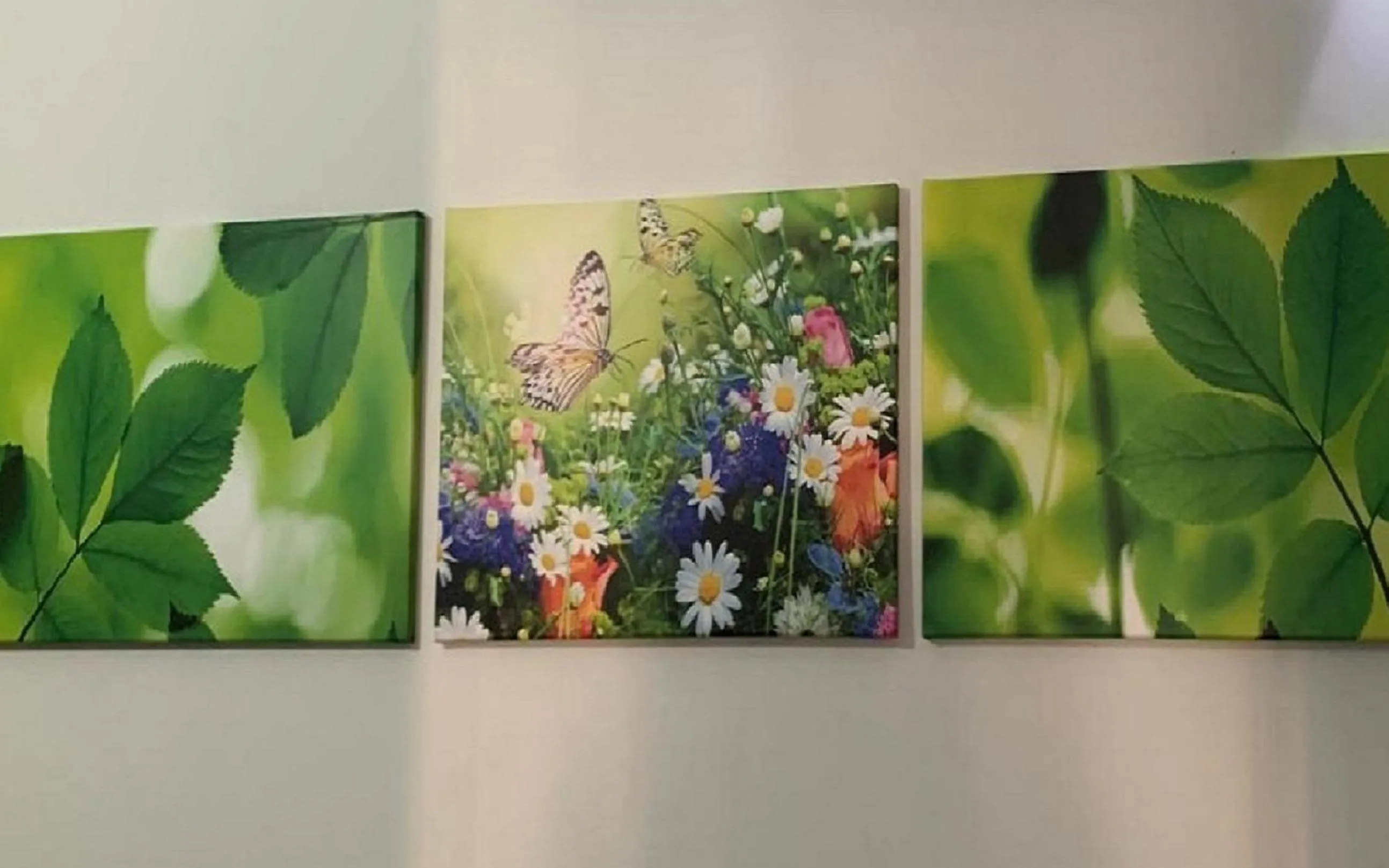 Lobby or reception in B&B Residence Armonia Sulmona