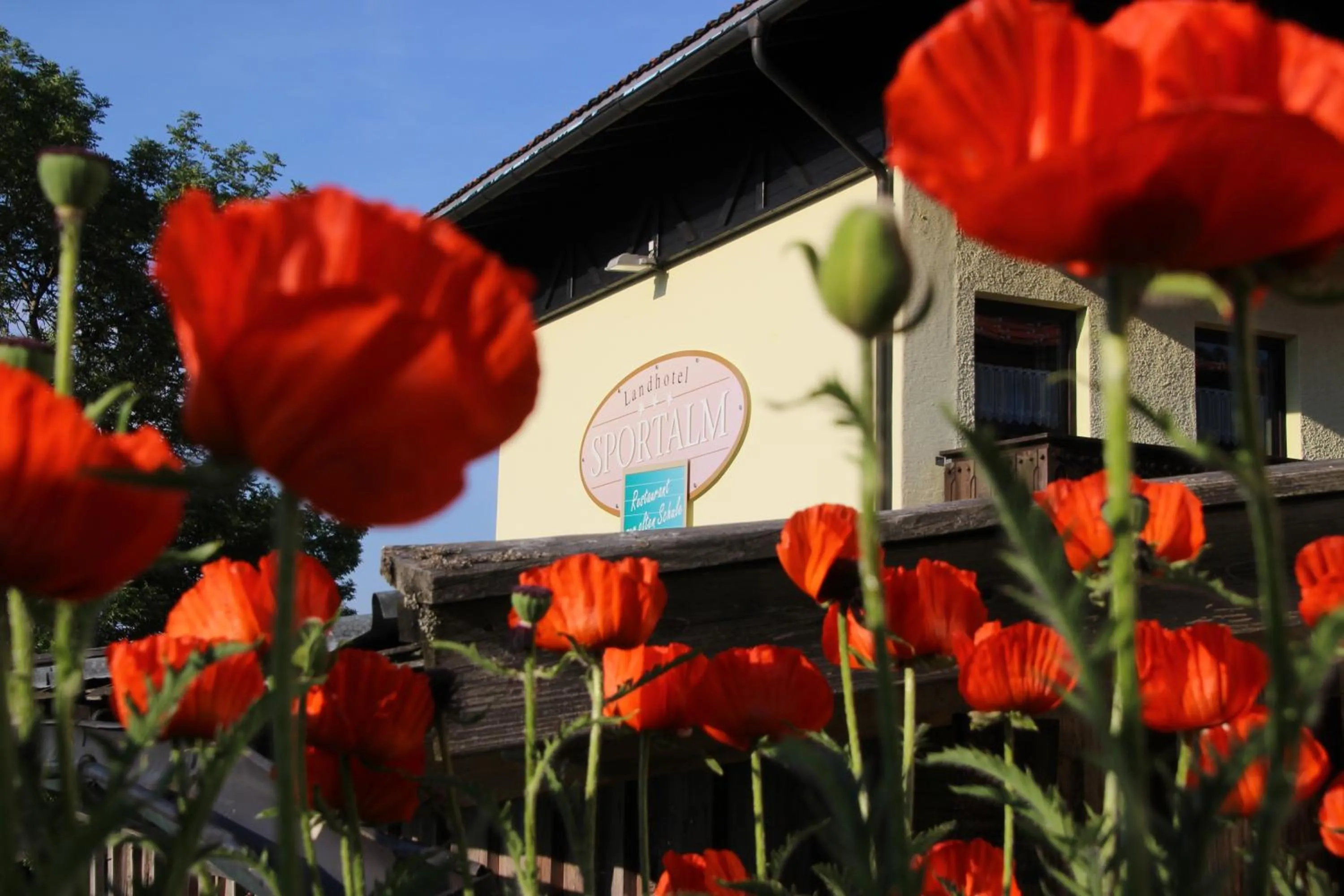 Property building in Landhotel Sportalm