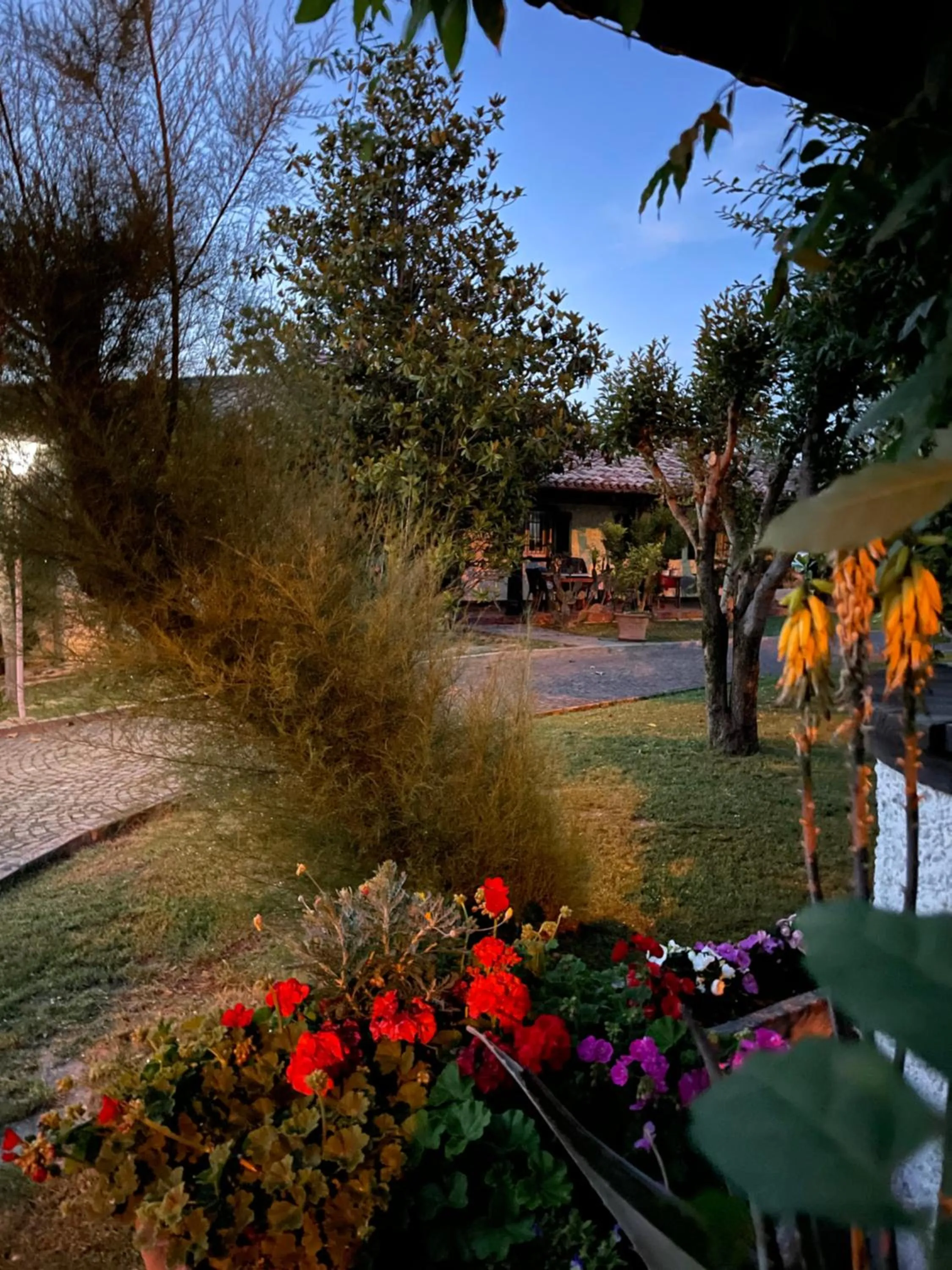B&B VILLA LUPIDI