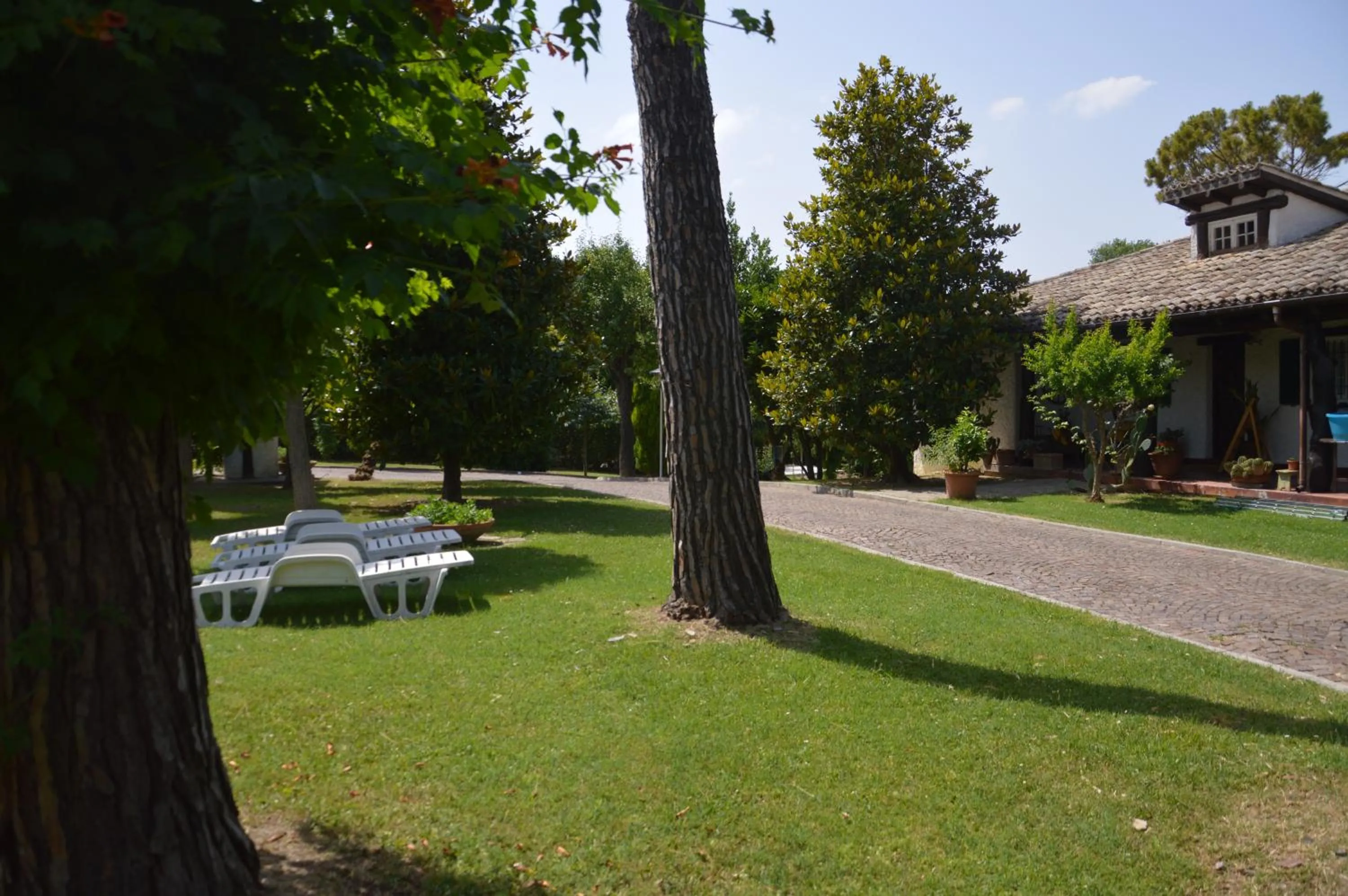 Garden in B&B VILLA LUPIDI