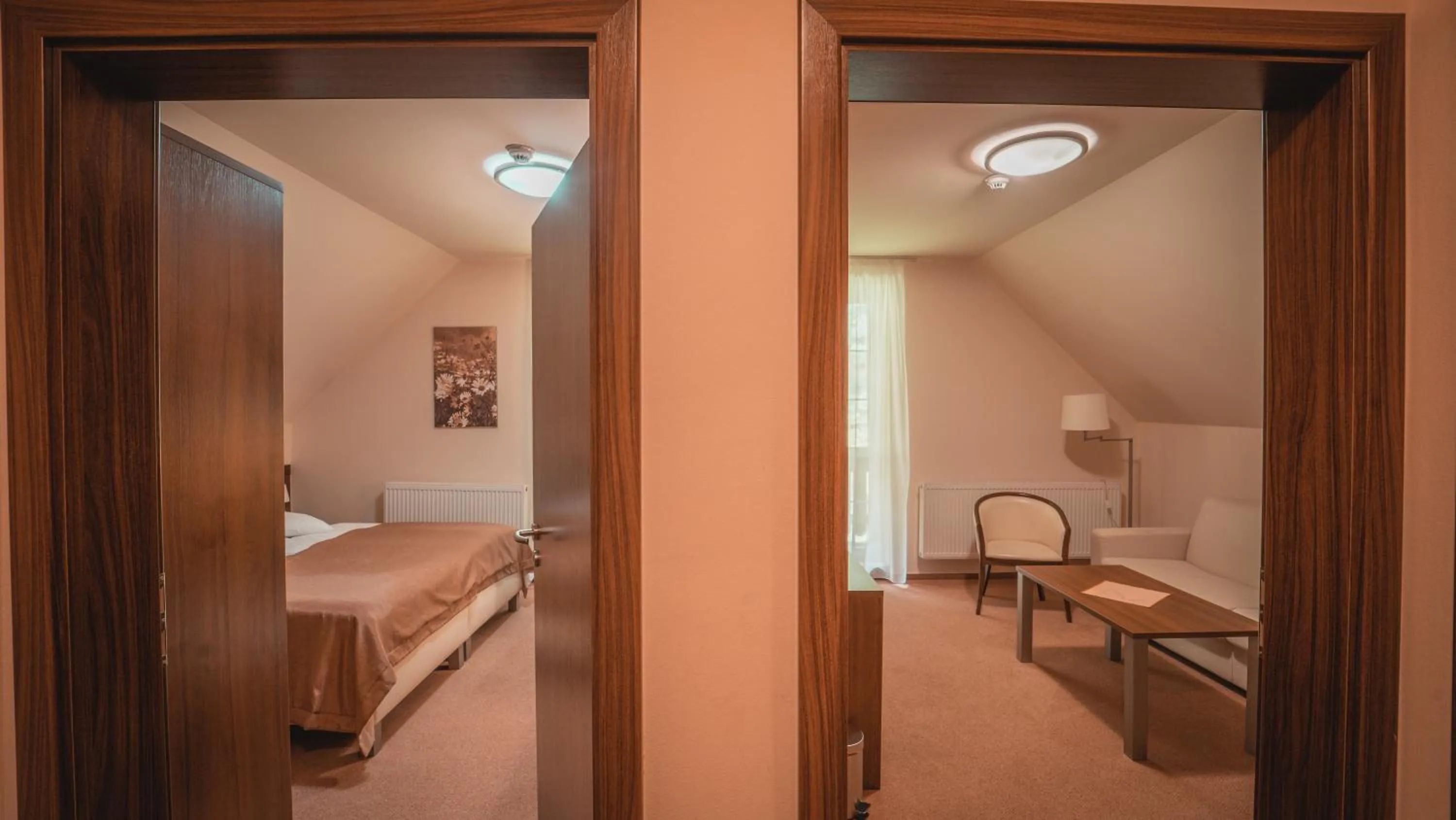 TV and multimedia, Bed in Dom zdravia - KÚPELE PIENINY