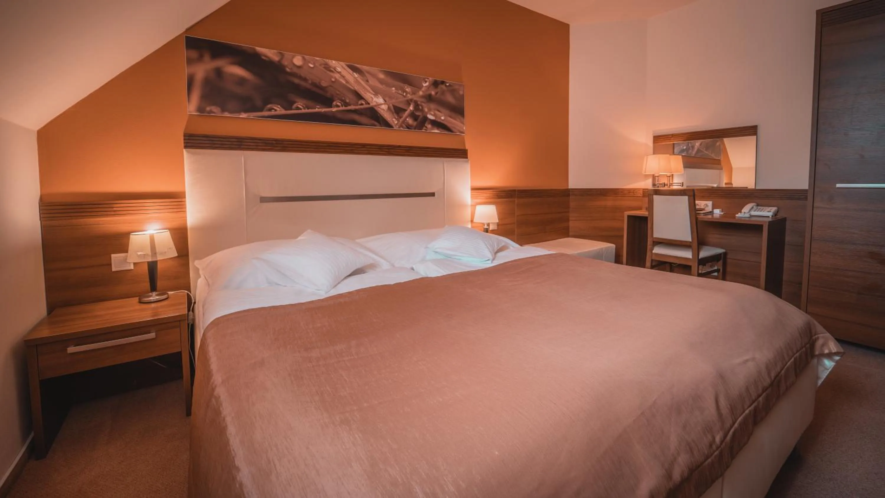 Photo of the whole room, Bed in Dom zdravia - KÚPELE PIENINY