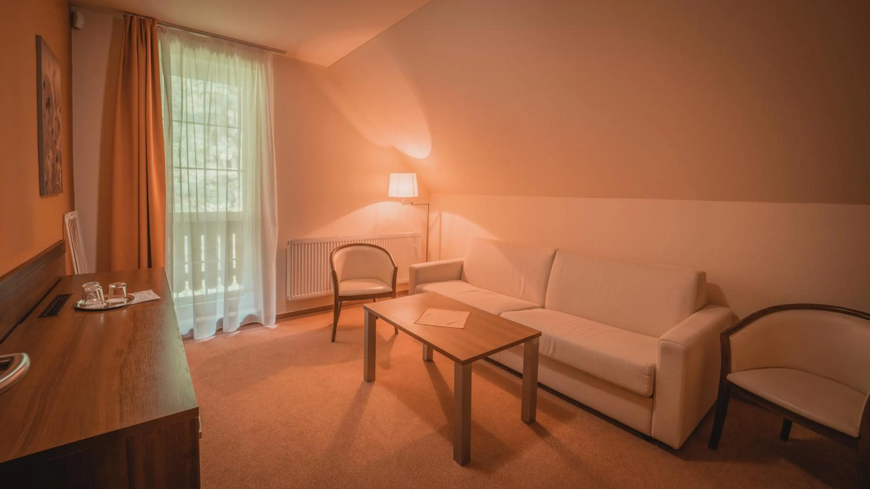 Communal lounge/ TV room in Dom zdravia - KÚPELE PIENINY