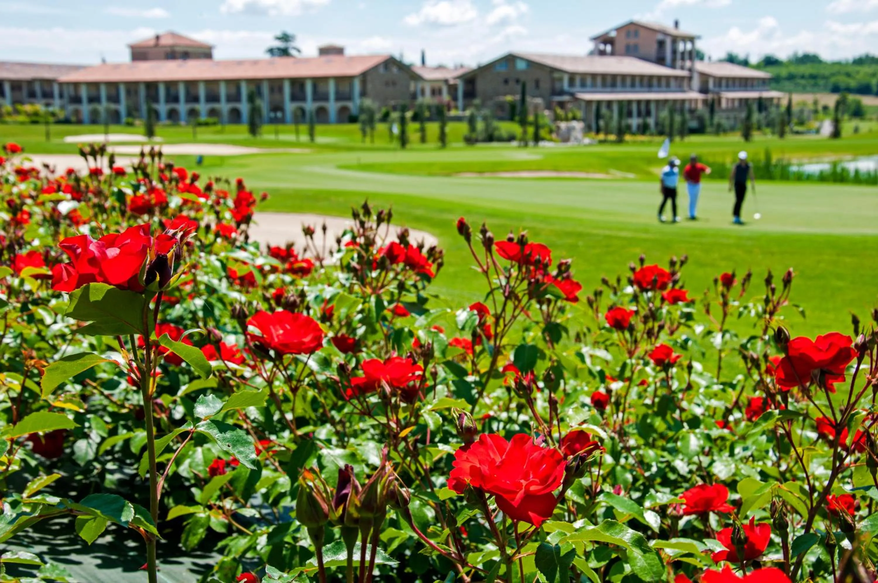 Garden in Garda Residence San Vigilio Golf