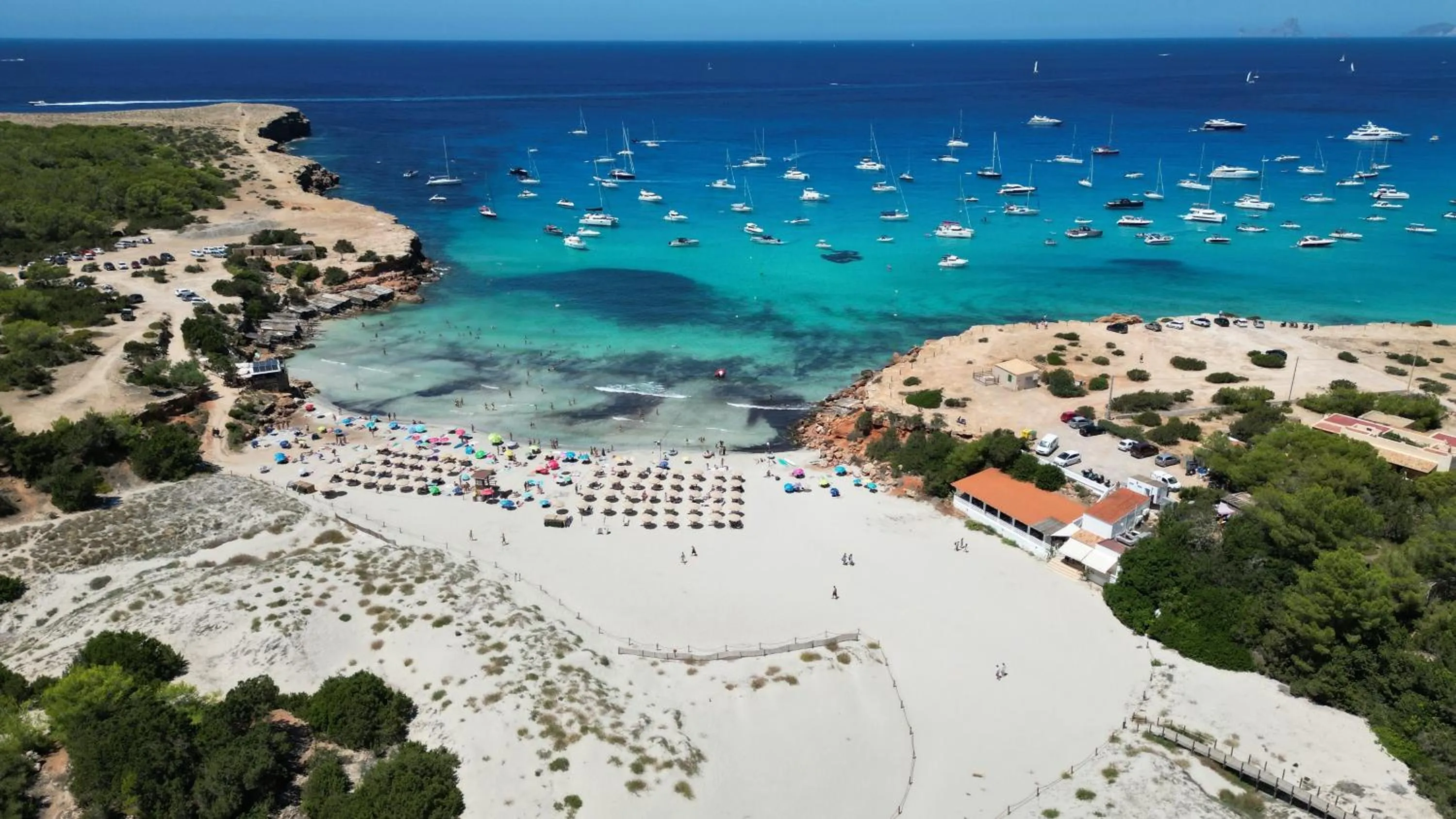 Beach in Hotel Cala Saona & Spa