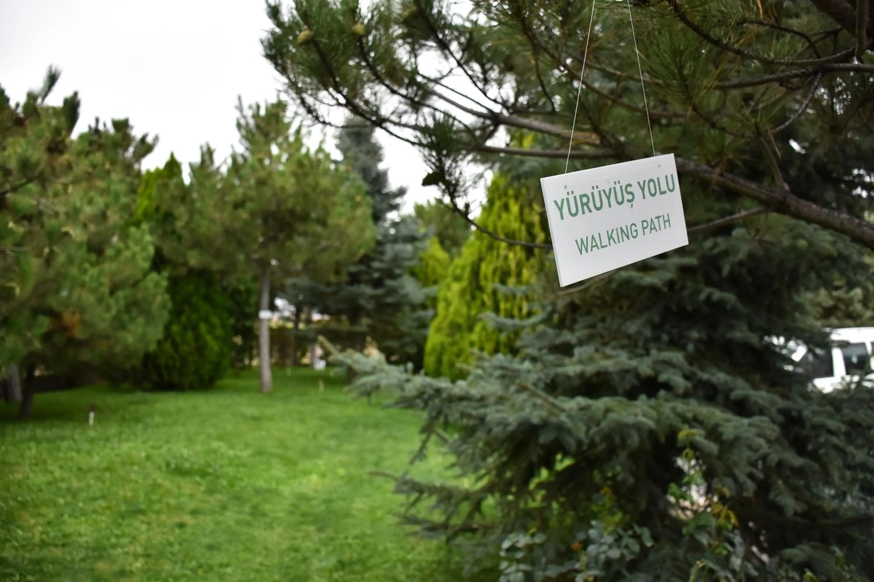 Natural landscape in Ikbal Thermal Hotel & Spa Afyon