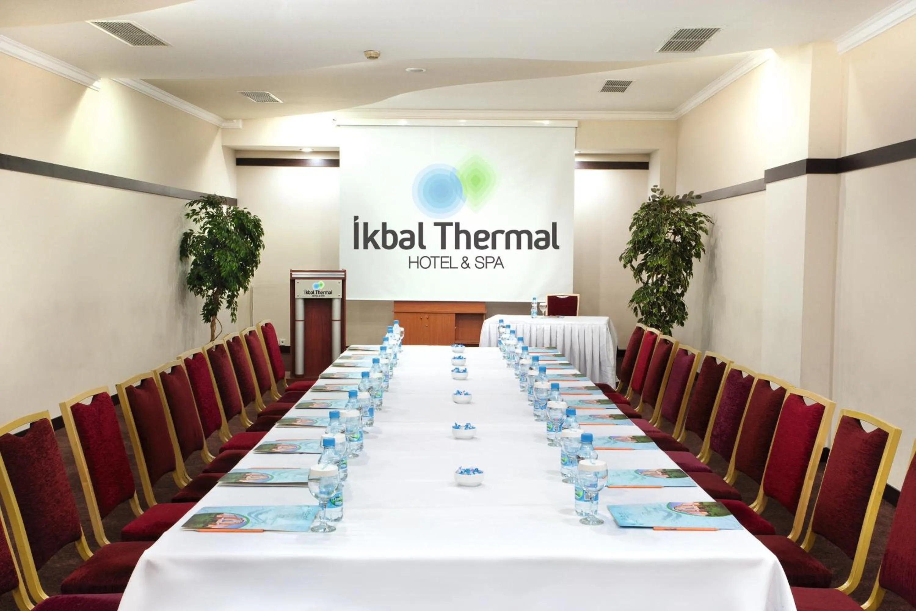 Business facilities in Ikbal Thermal Hotel & Spa Afyon