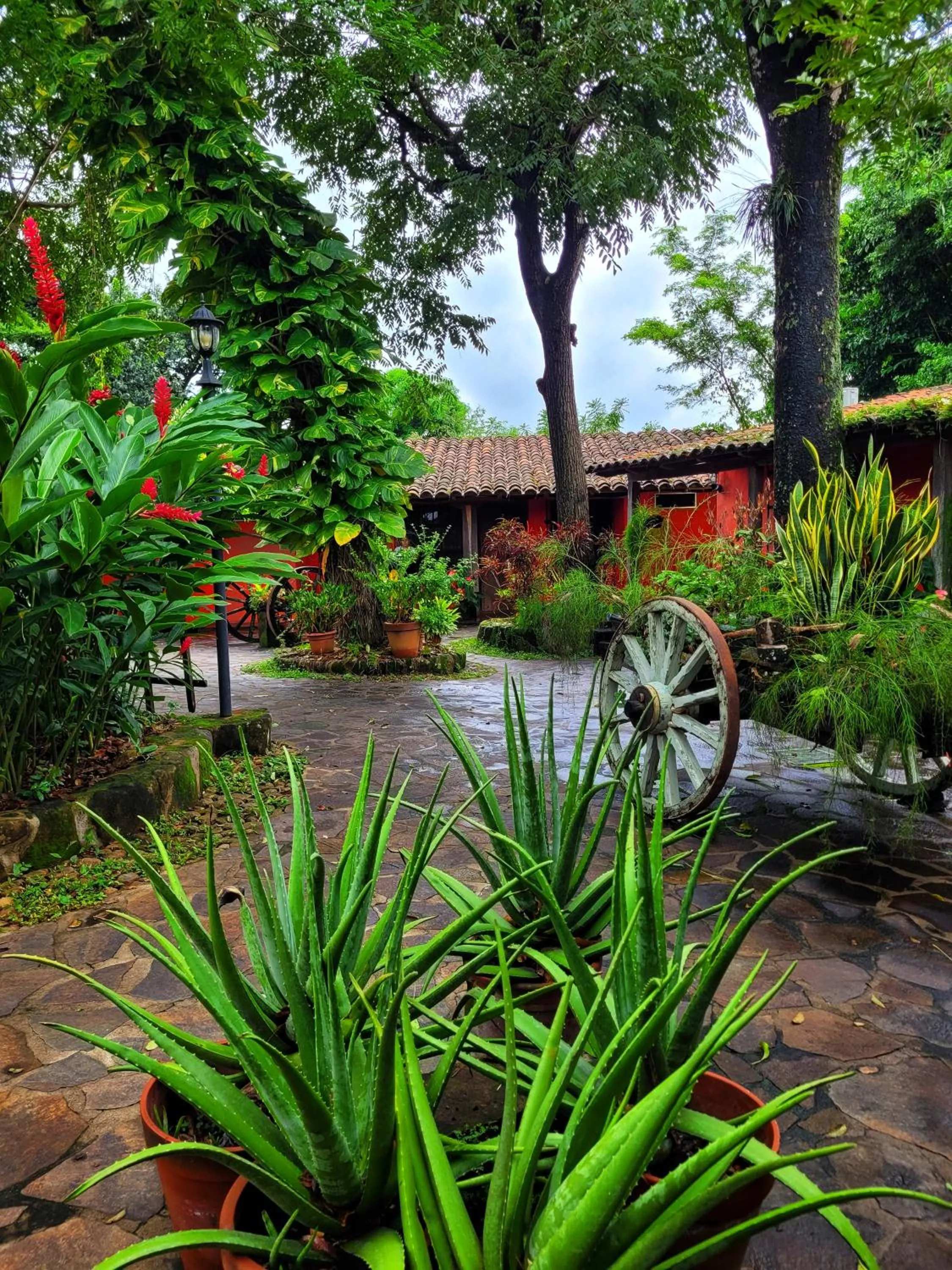 Garden in El Tejado