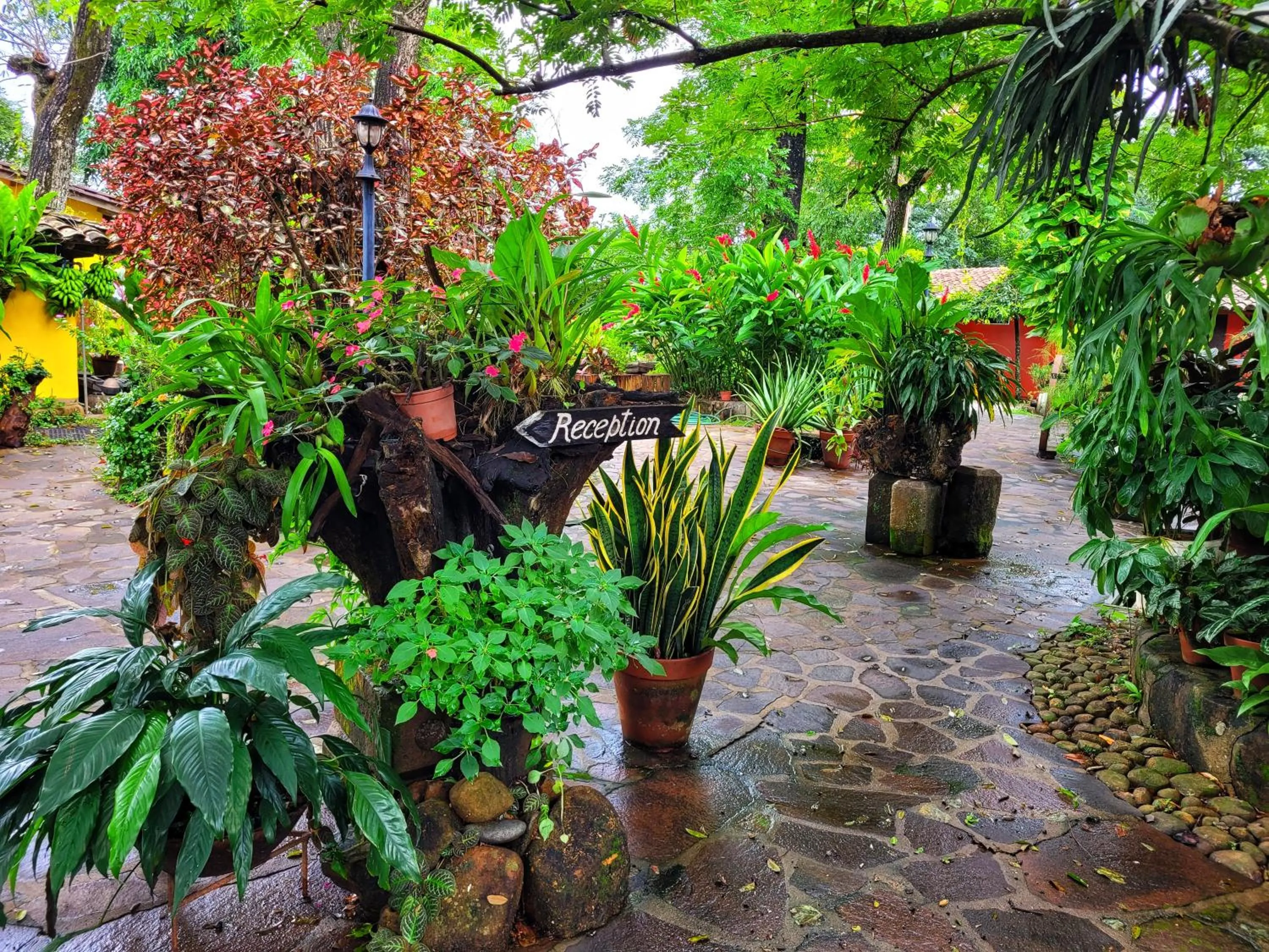 Garden in El Tejado