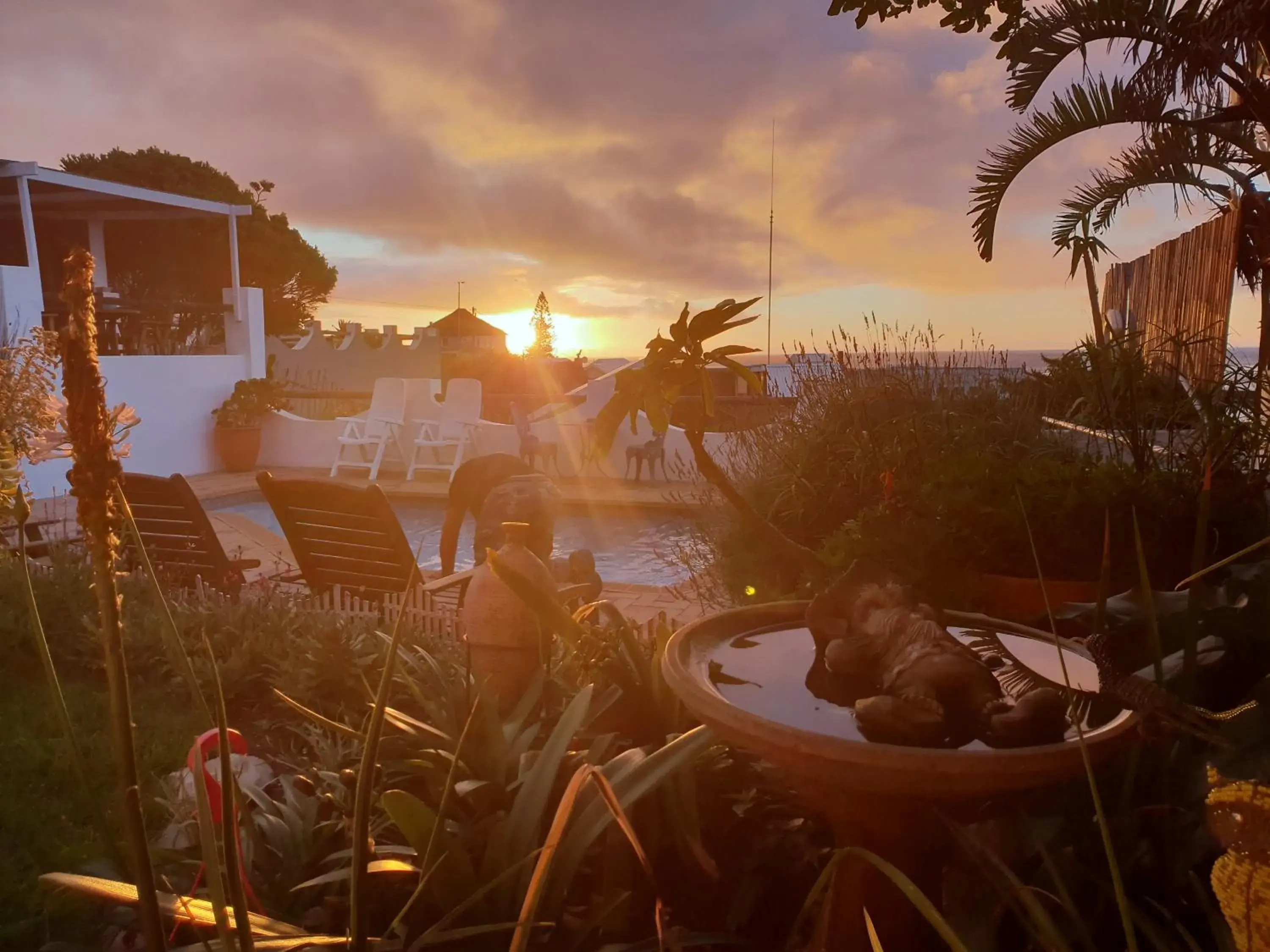 Property building in Saxon Lodge Property building in Saxon Lodge