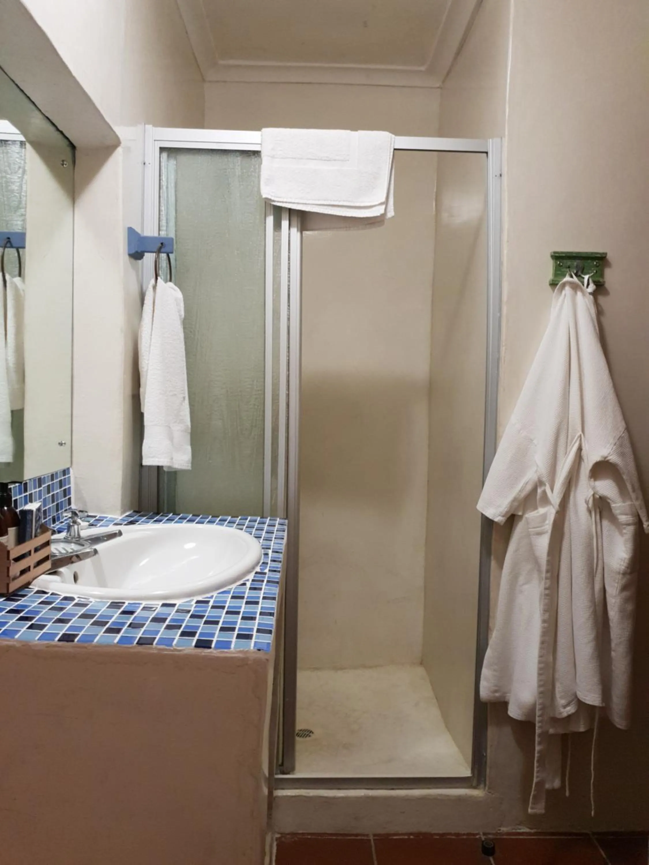 Shower in Saxon Lodge