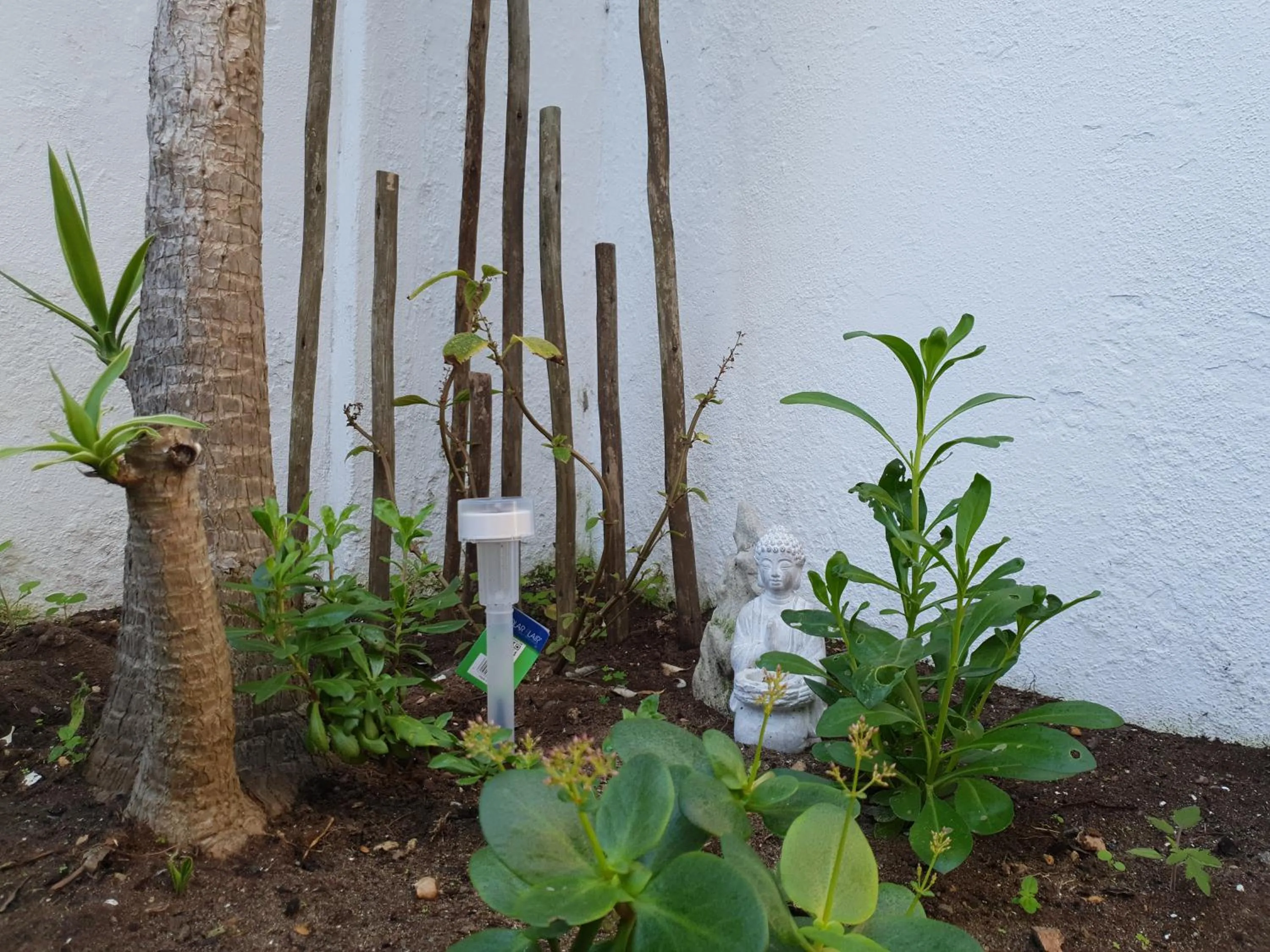 Garden in Saxon Lodge