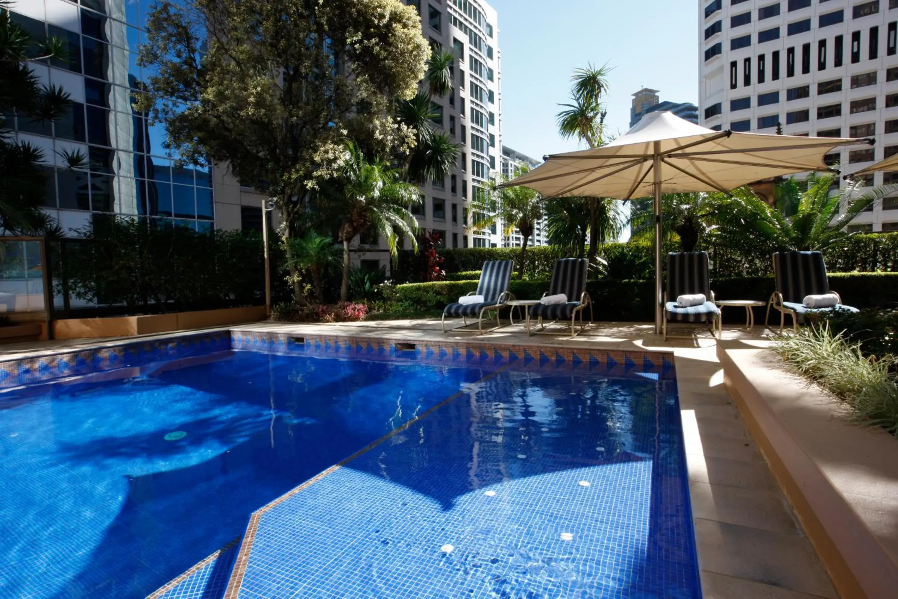 Swimming pool in The York by Swiss-Belhotel Swimming pool in The York by Swiss-Belhotel