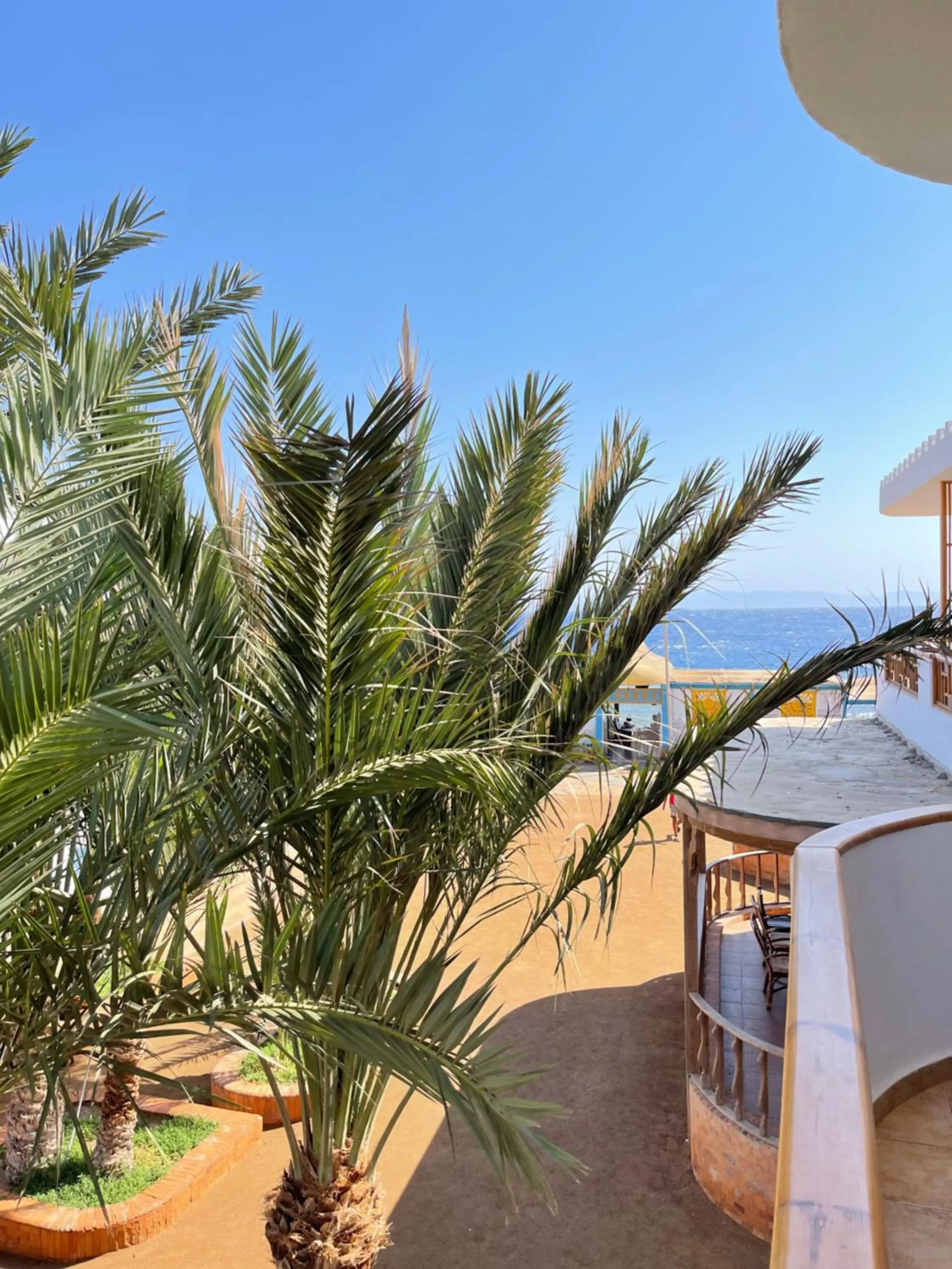 Shams Hotel & Dive Centre