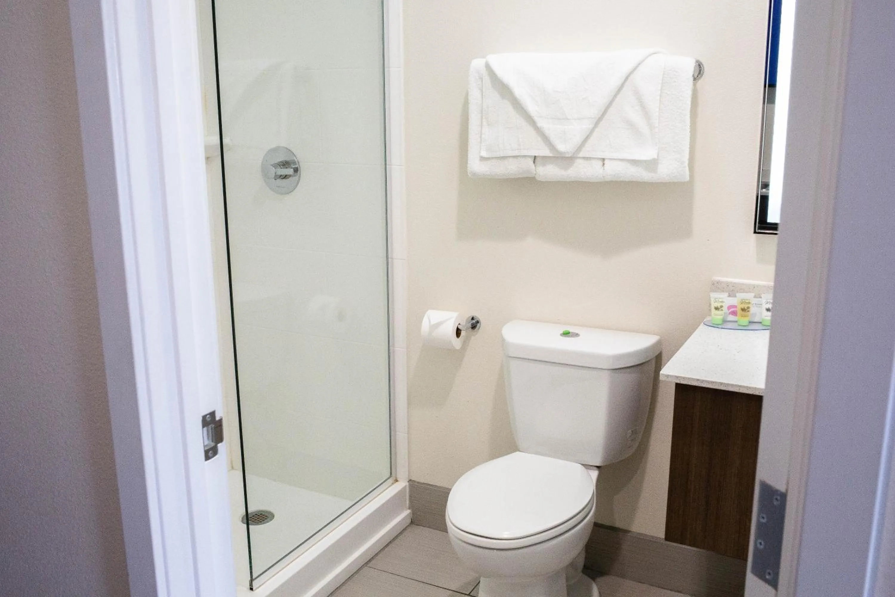 Shower in Palace Inn El Paso