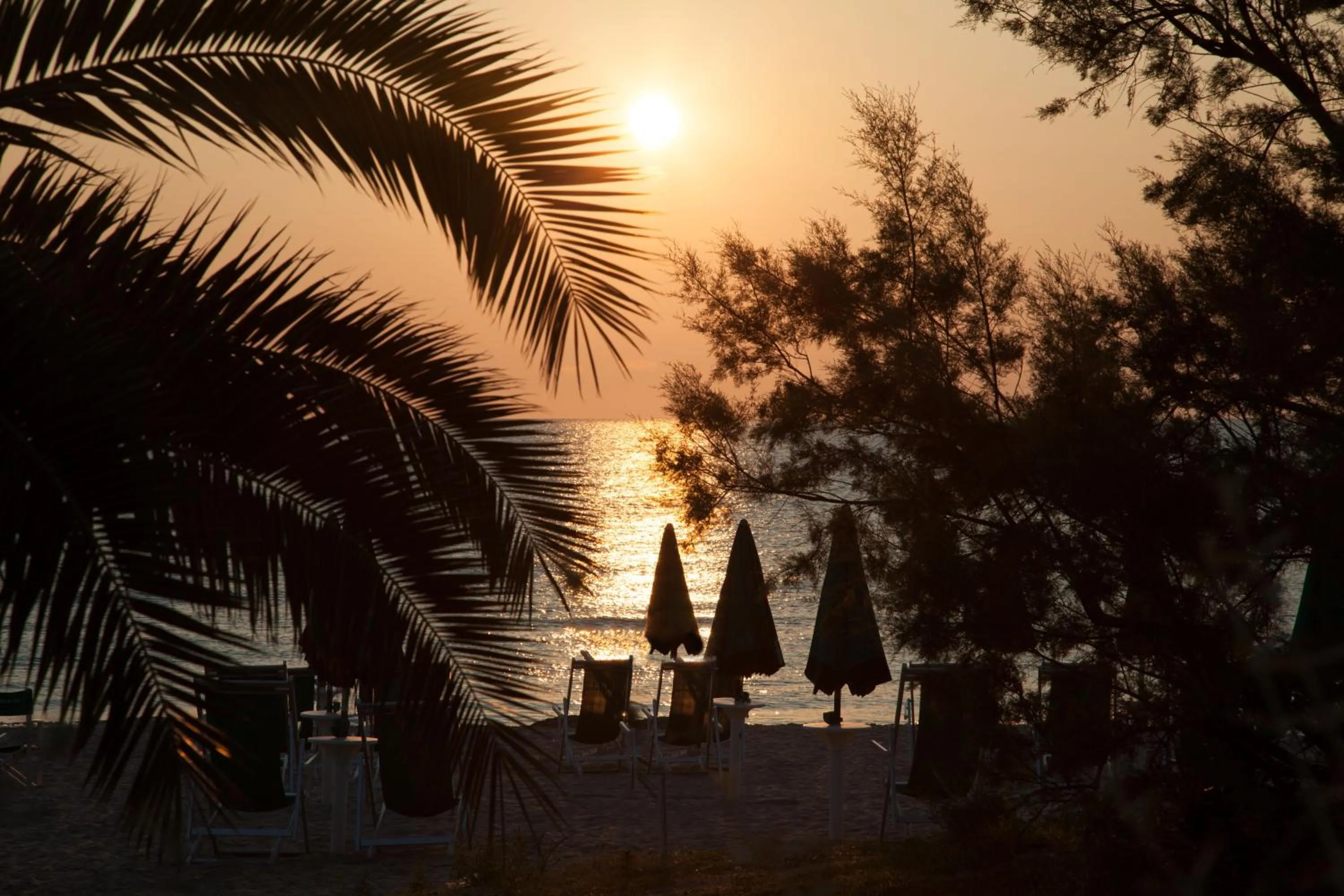Beach in Hotel Ambasciatori