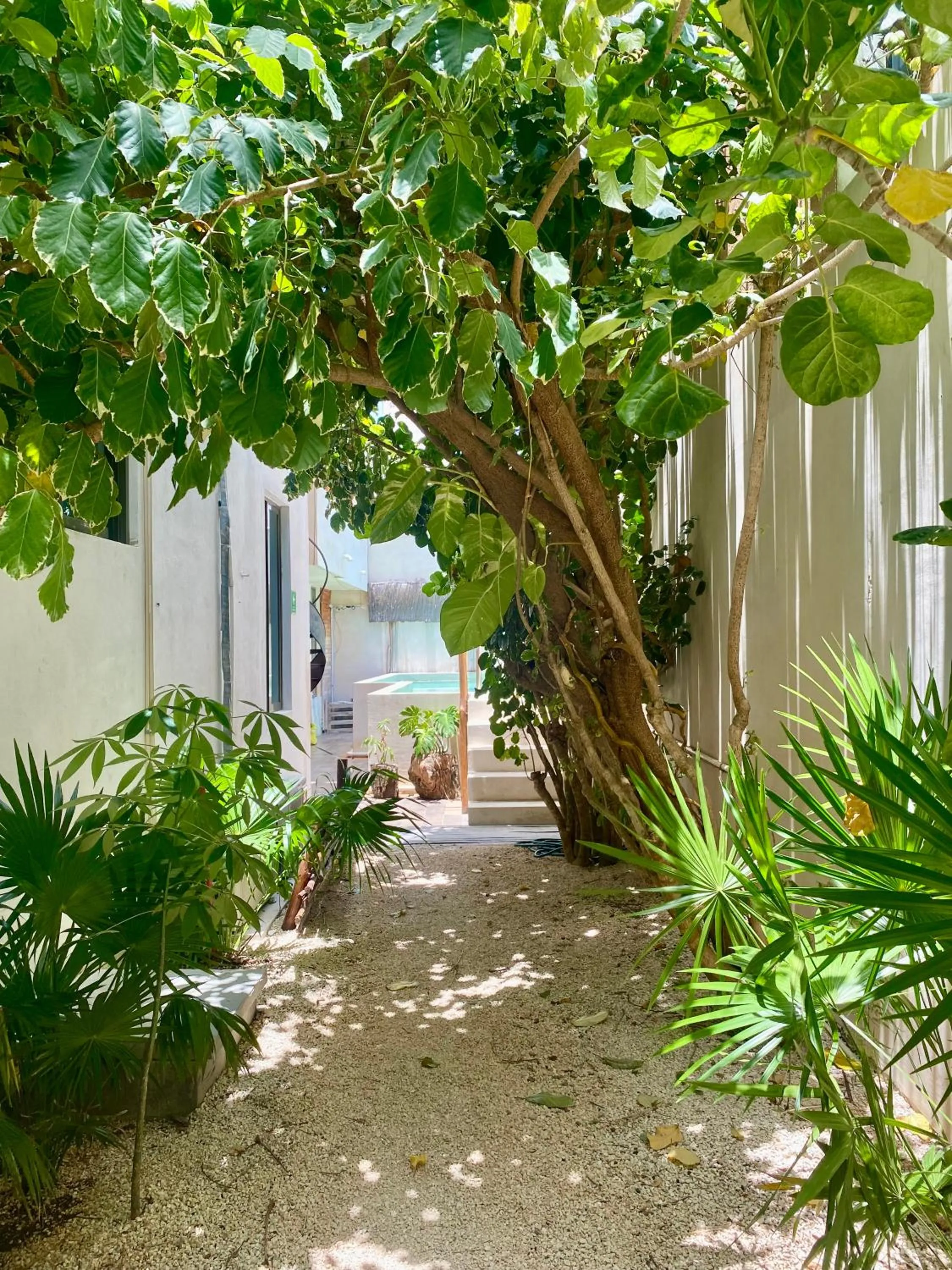 Garden view in Casa Cielo Cancun