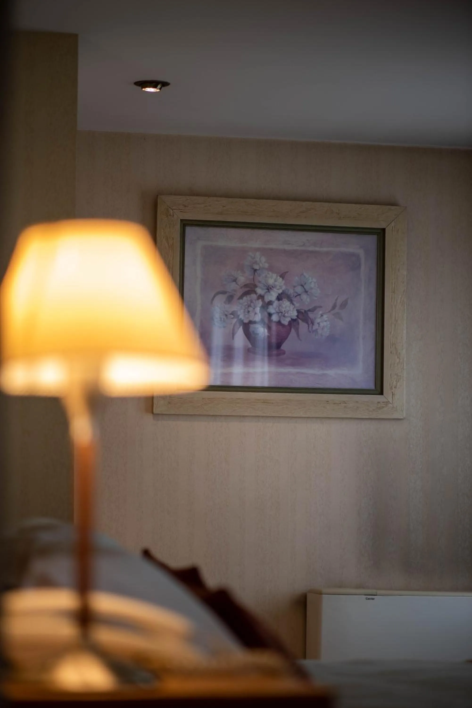 Decorative detail, Bed in El Prado