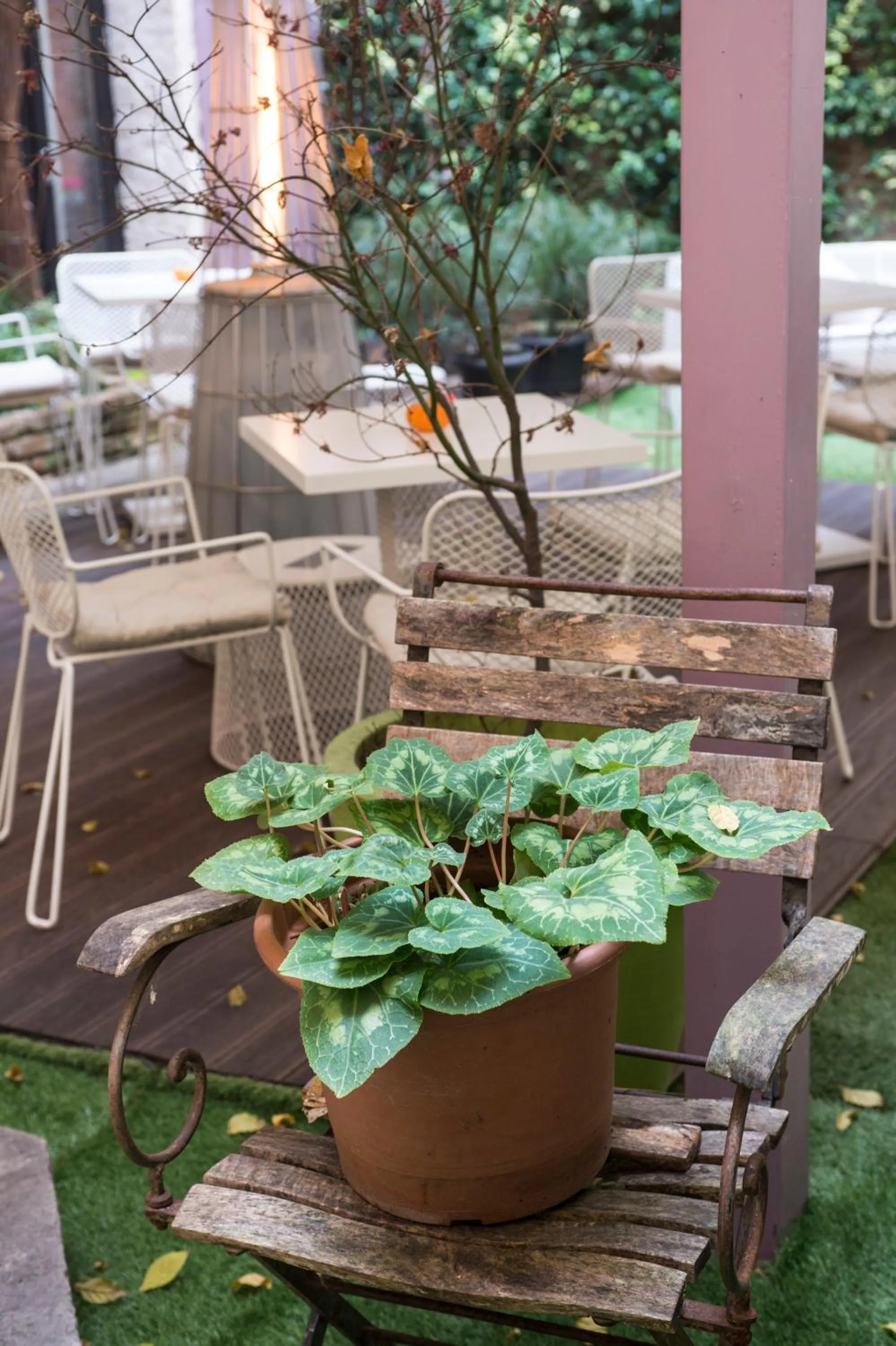 Garden in Corte Di Gabriela