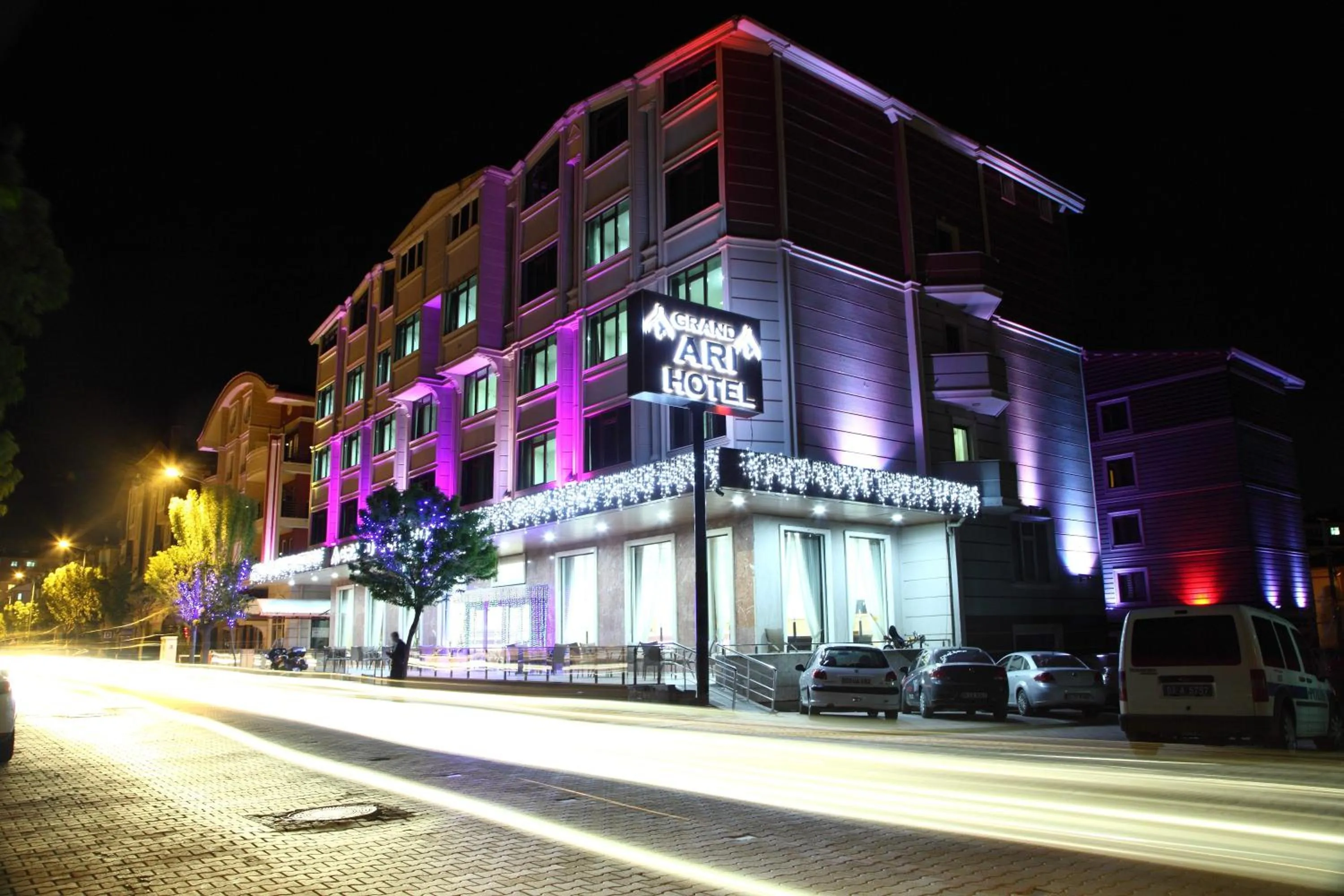 Afyon Grand Arı Hotel