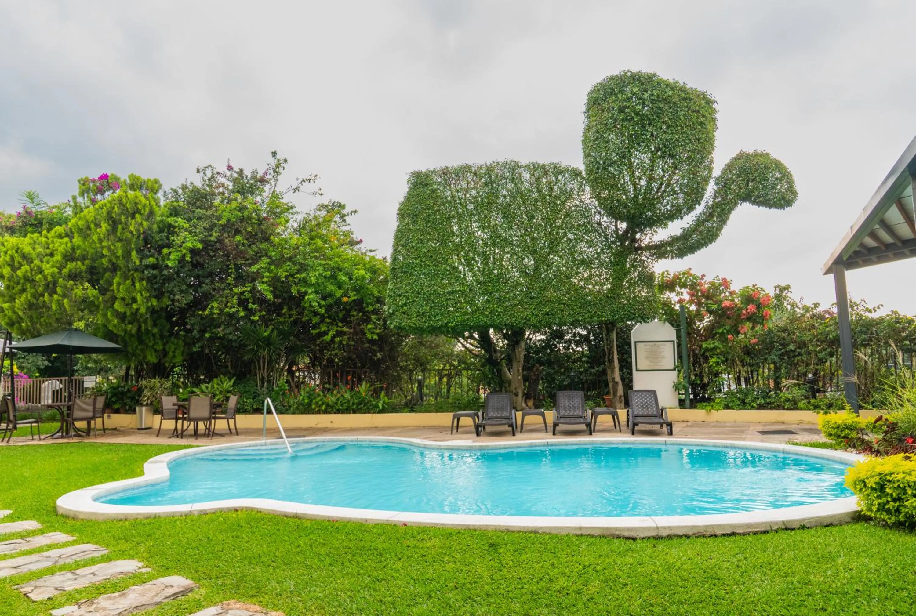 Garden in Hotel Mirador Plaza