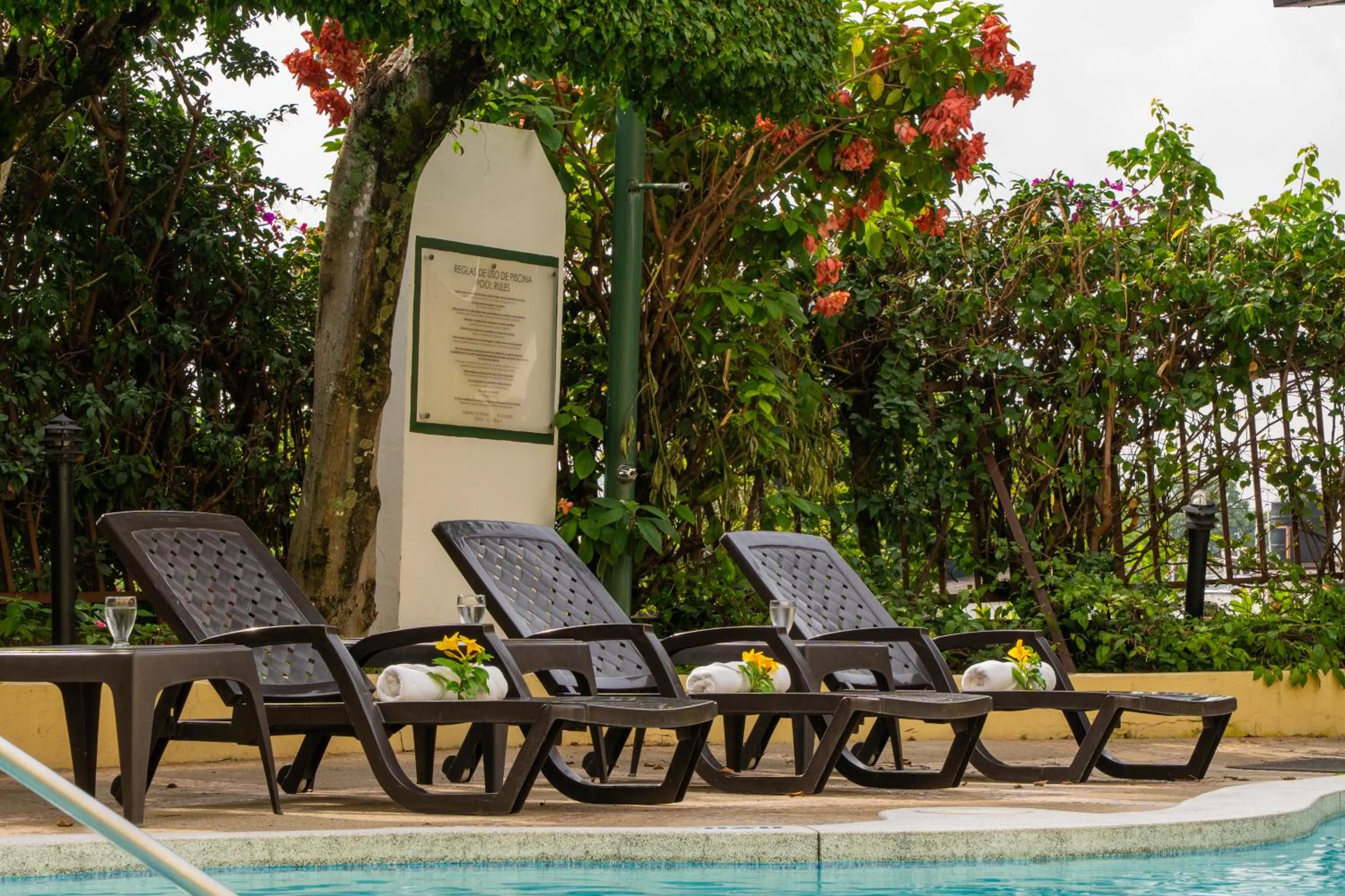 sunbed in Hotel Mirador Plaza