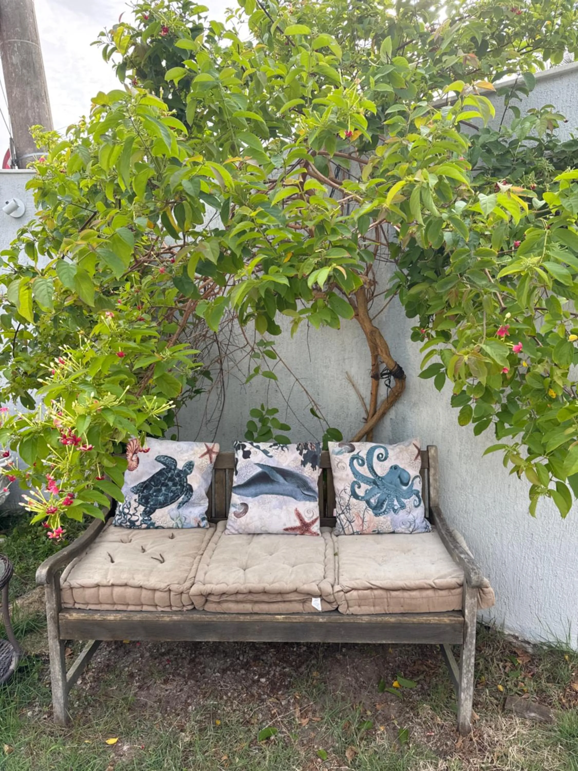 Pousada Sereia de Geriba