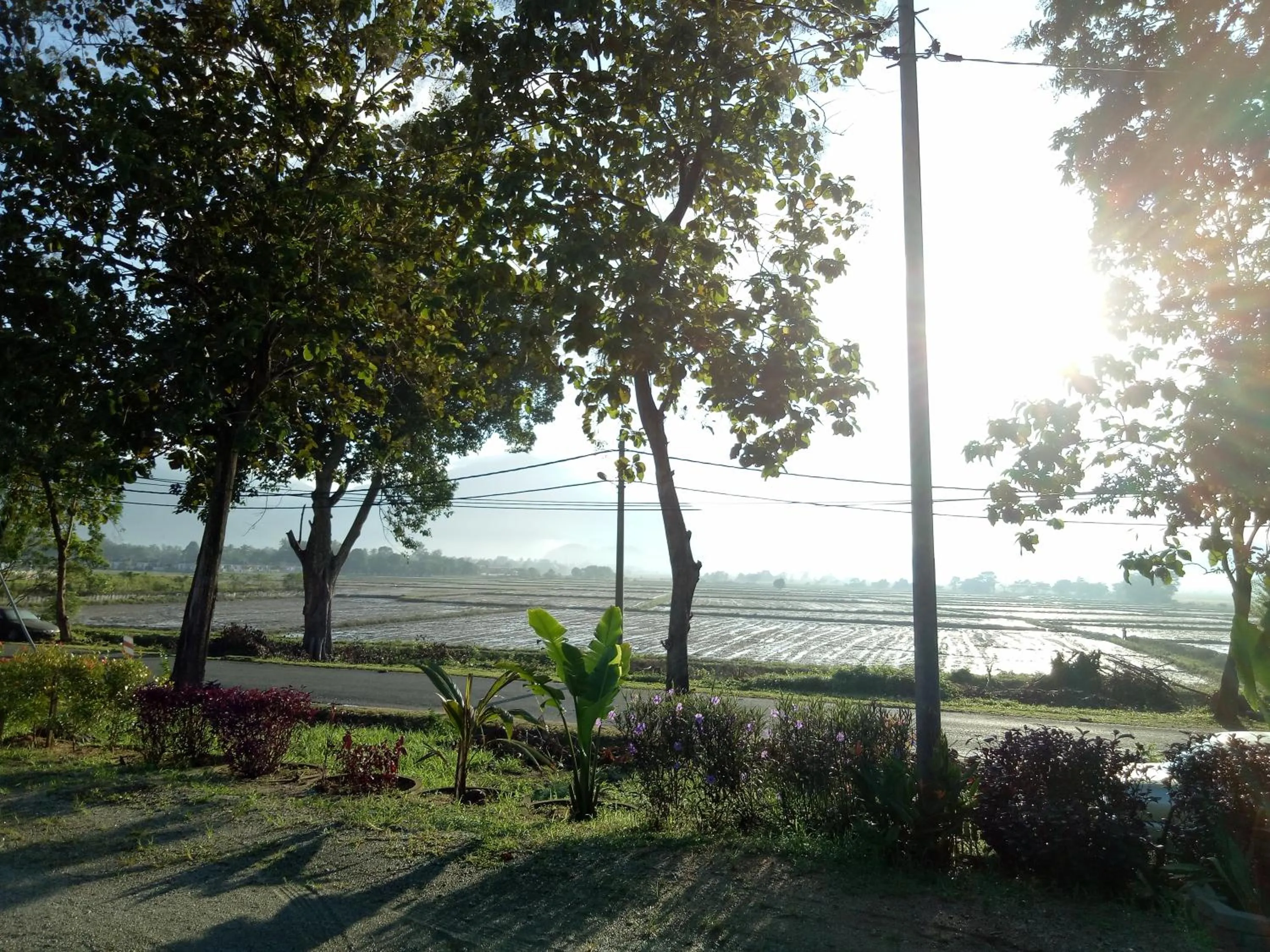 IDUL Sunrise View
