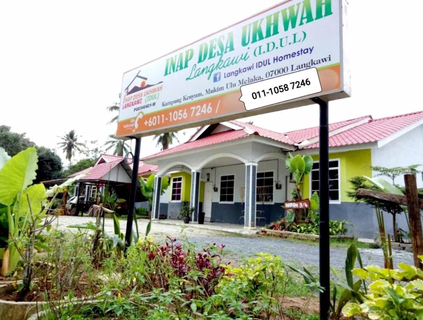 IDUL Sunrise View