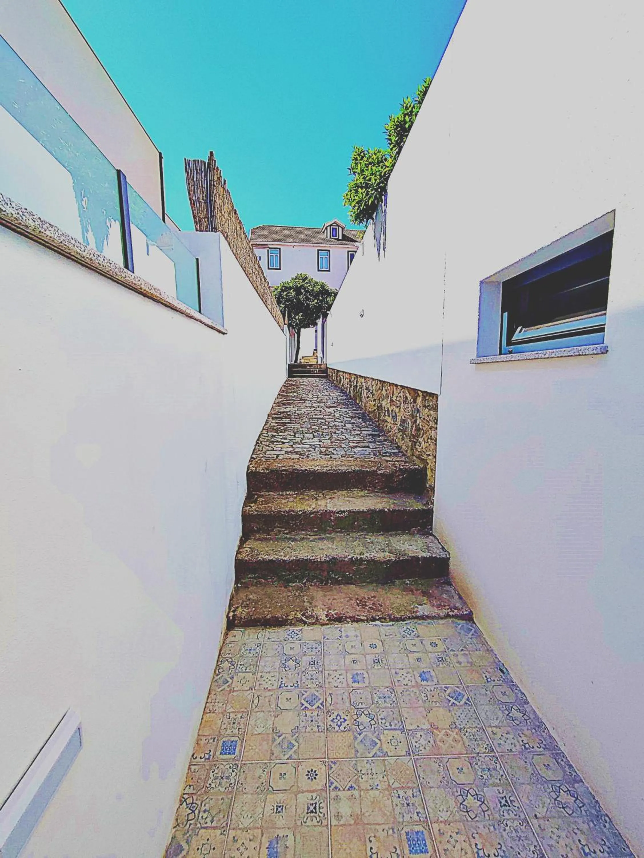 Casa do Salgueiral Douro