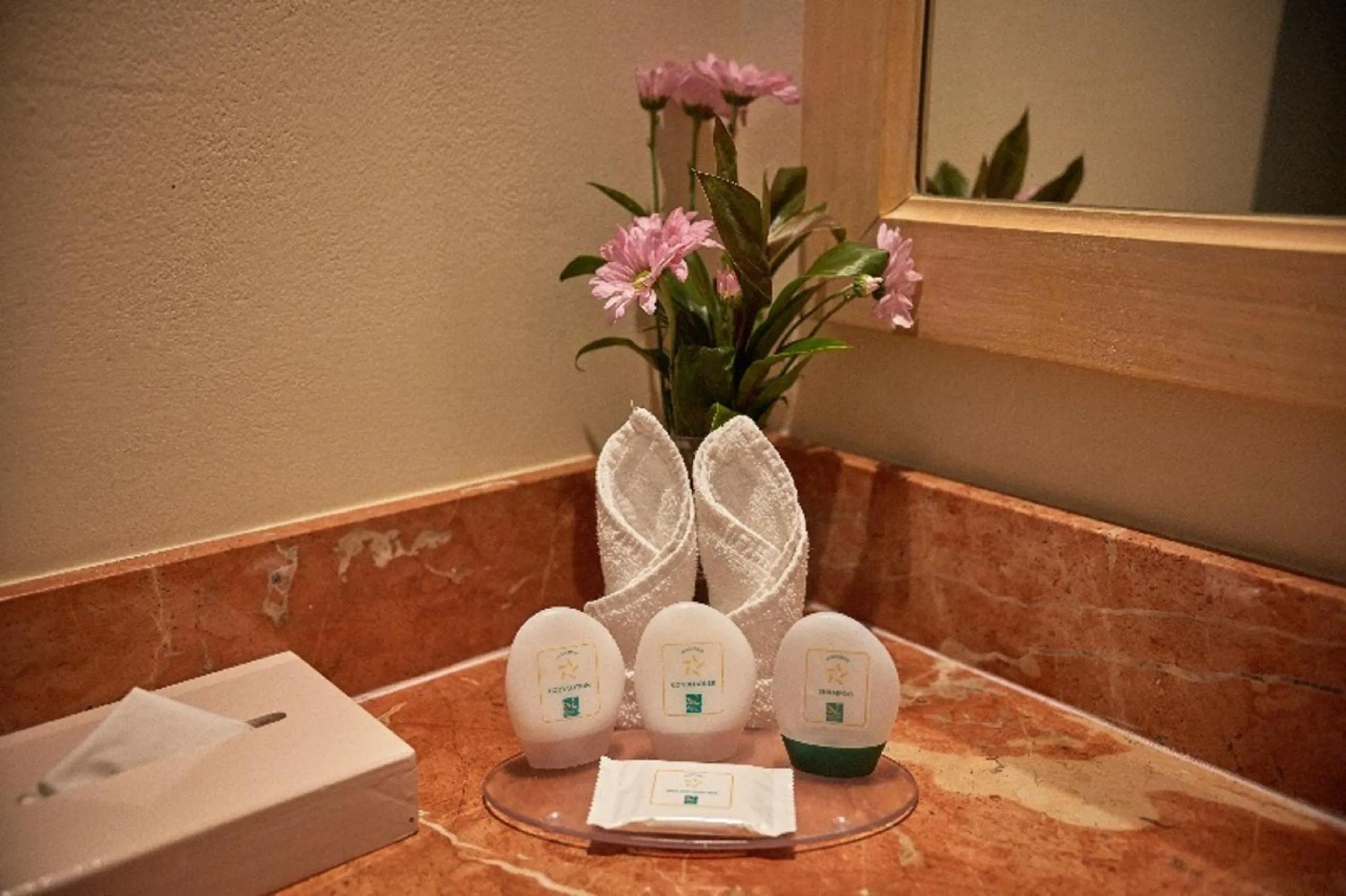 Bathroom in Quality Hotel Real Aeropuerto San Salvador