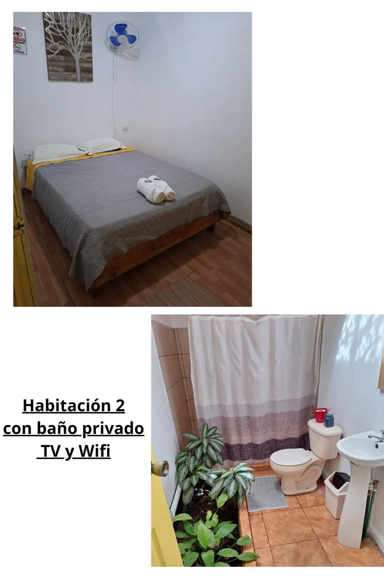 Bed in Hotel Cortez Azul