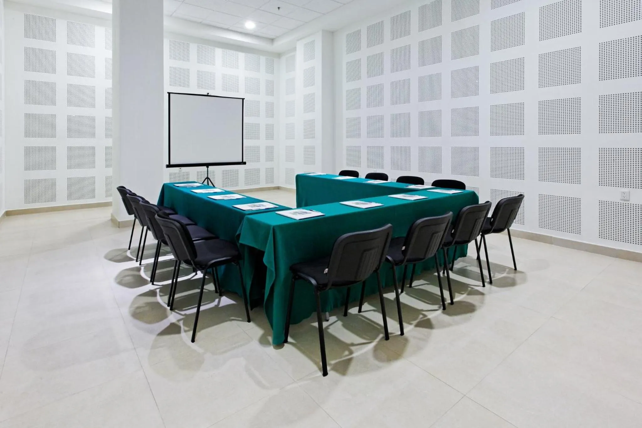 Meeting/conference room in Holiday Inn Express Manzanillo by IHG