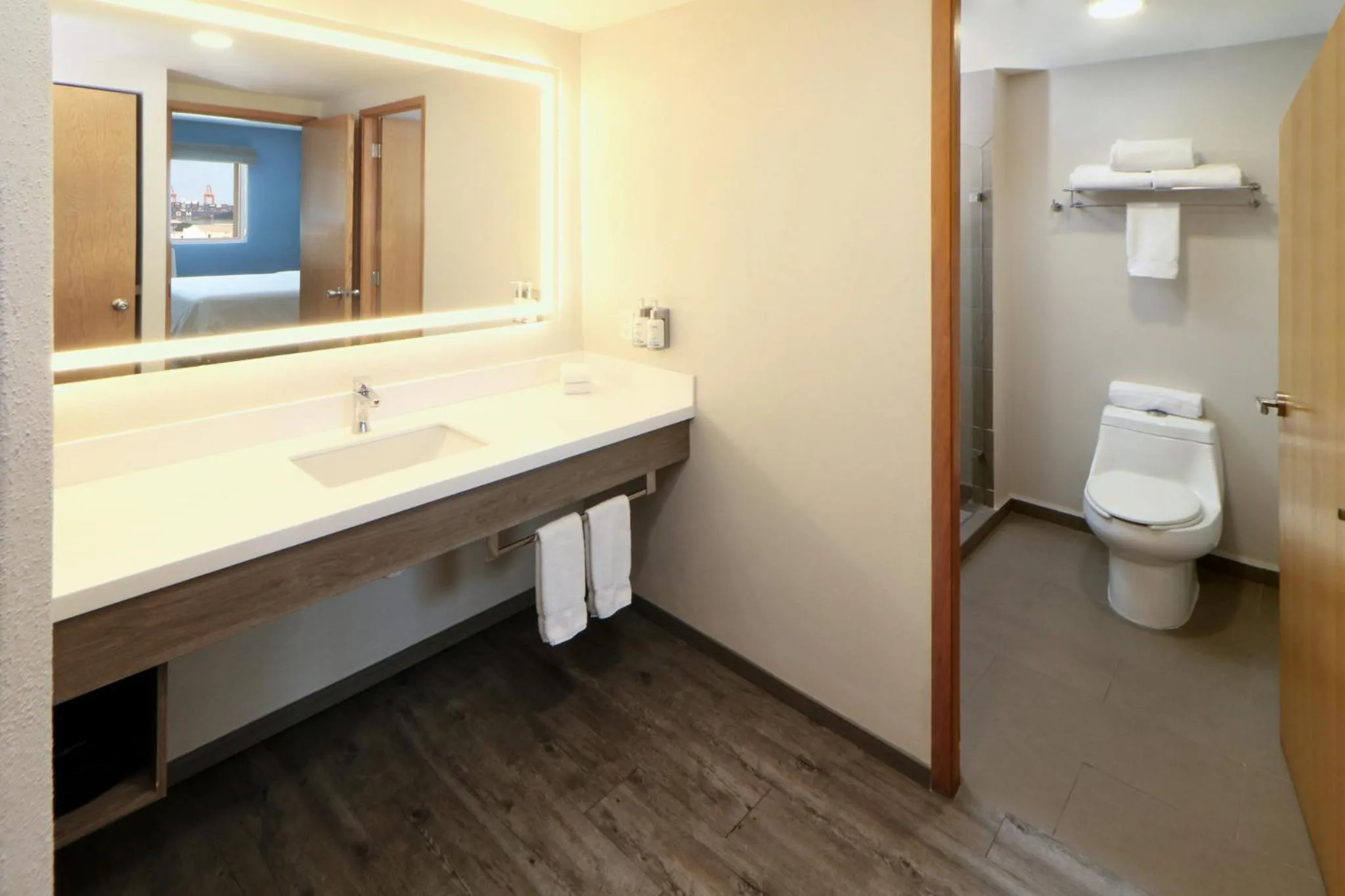 Bathroom in Holiday Inn Express Manzanillo by IHG