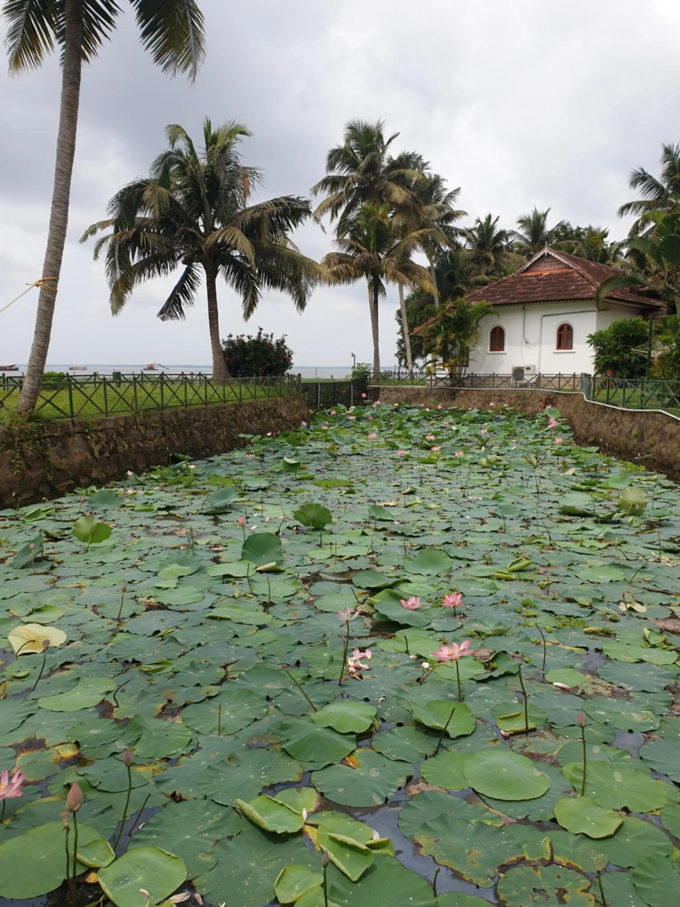 Garden view in Backwater Ripples Kumarakom