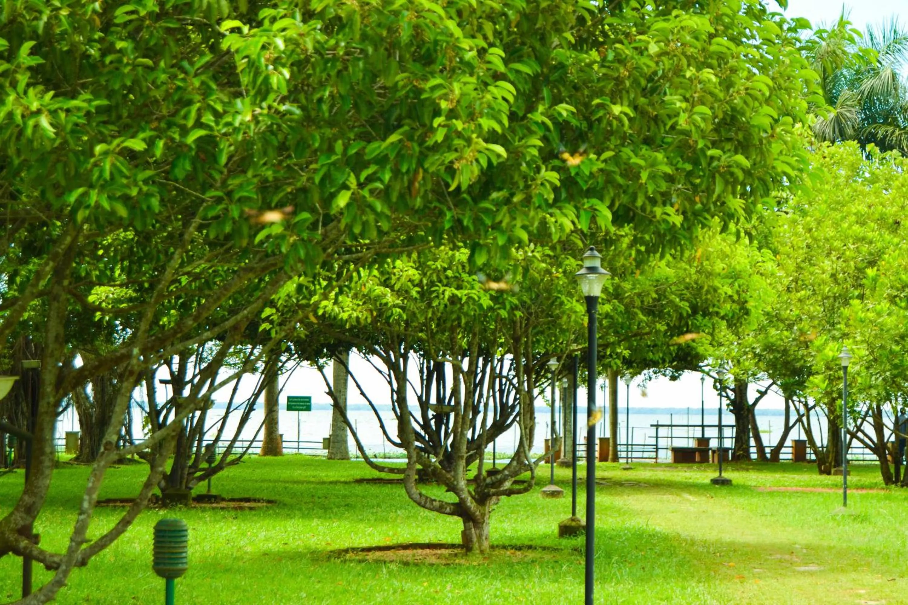 Day in Backwater Ripples Kumarakom